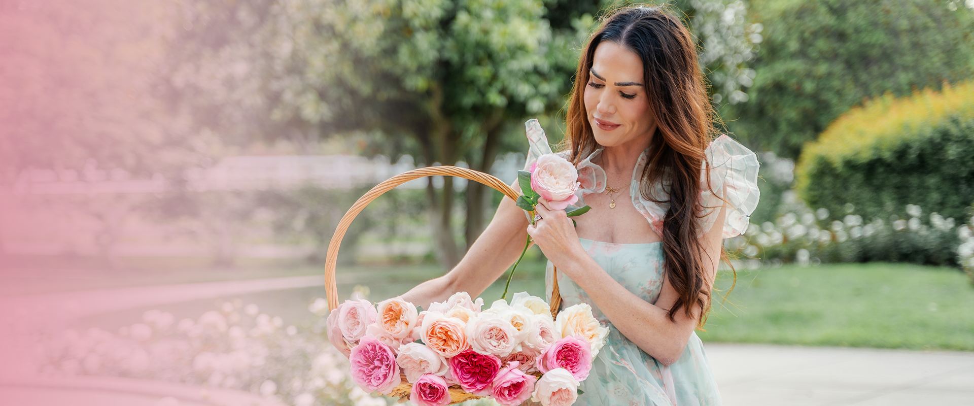 Fertilizing Roses