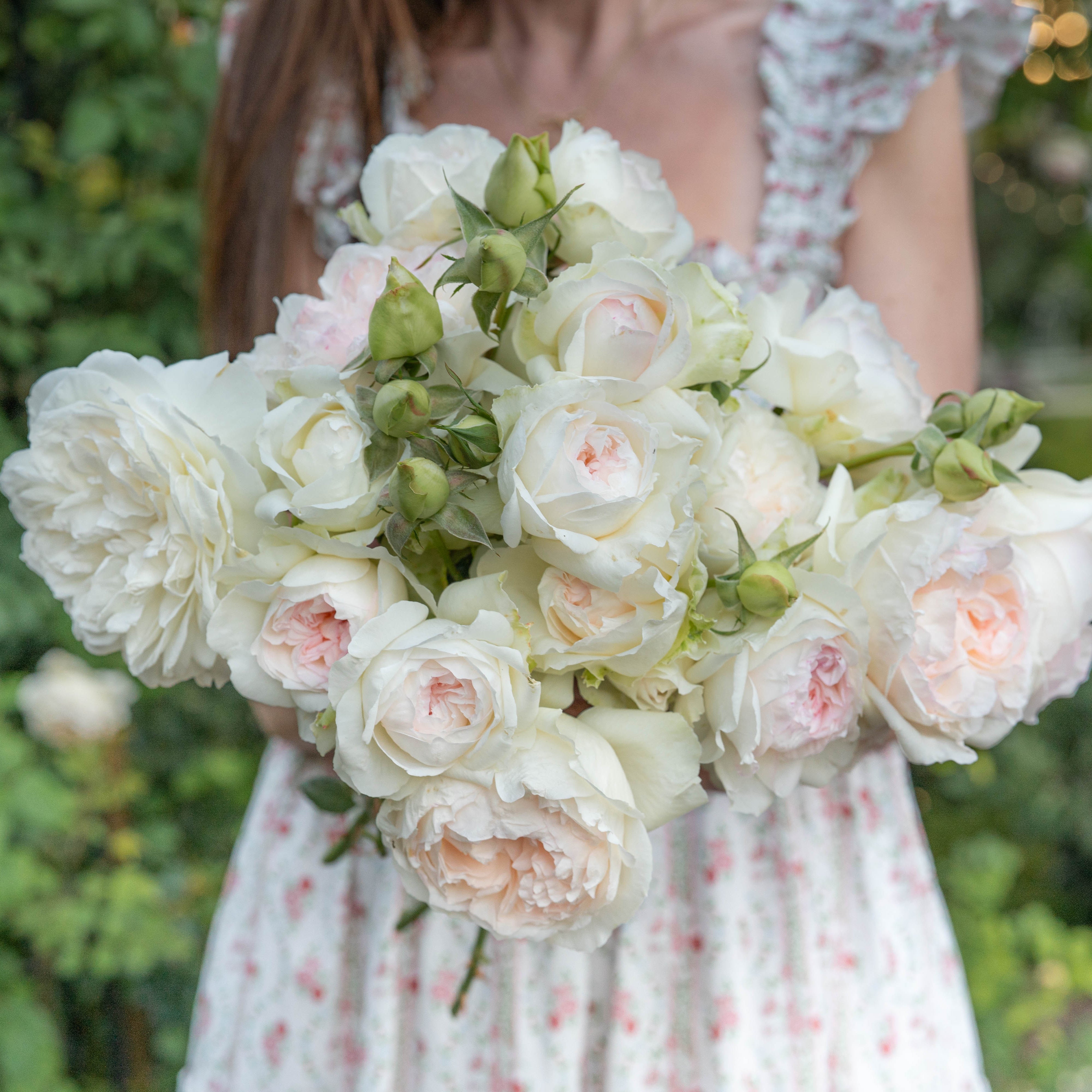 Why Pantone® Color of the Year Cloud Dancer™ & White Roses Are a Match Made in Heaven