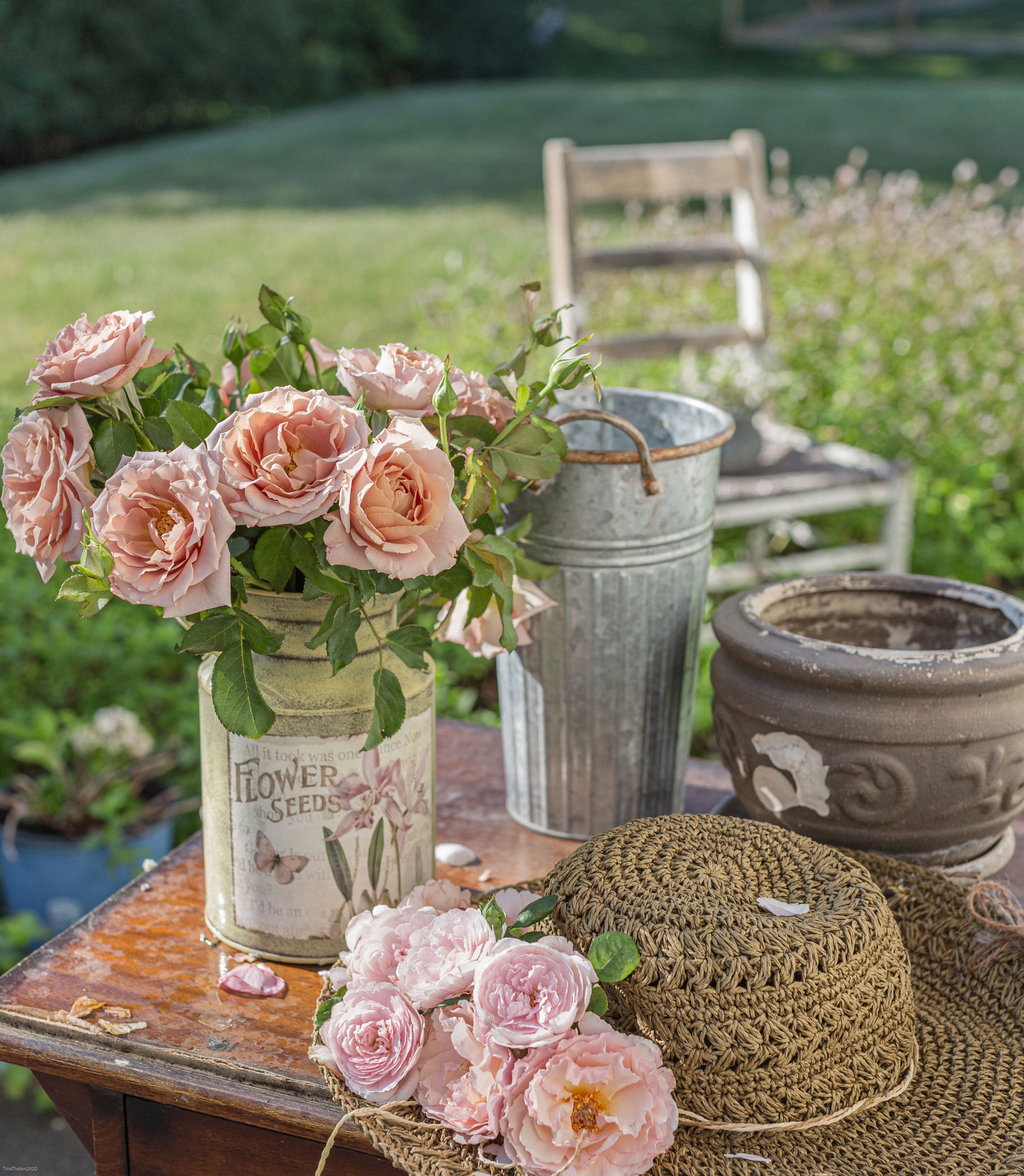 Getting To Know Our Customers - Grace Rose Farm