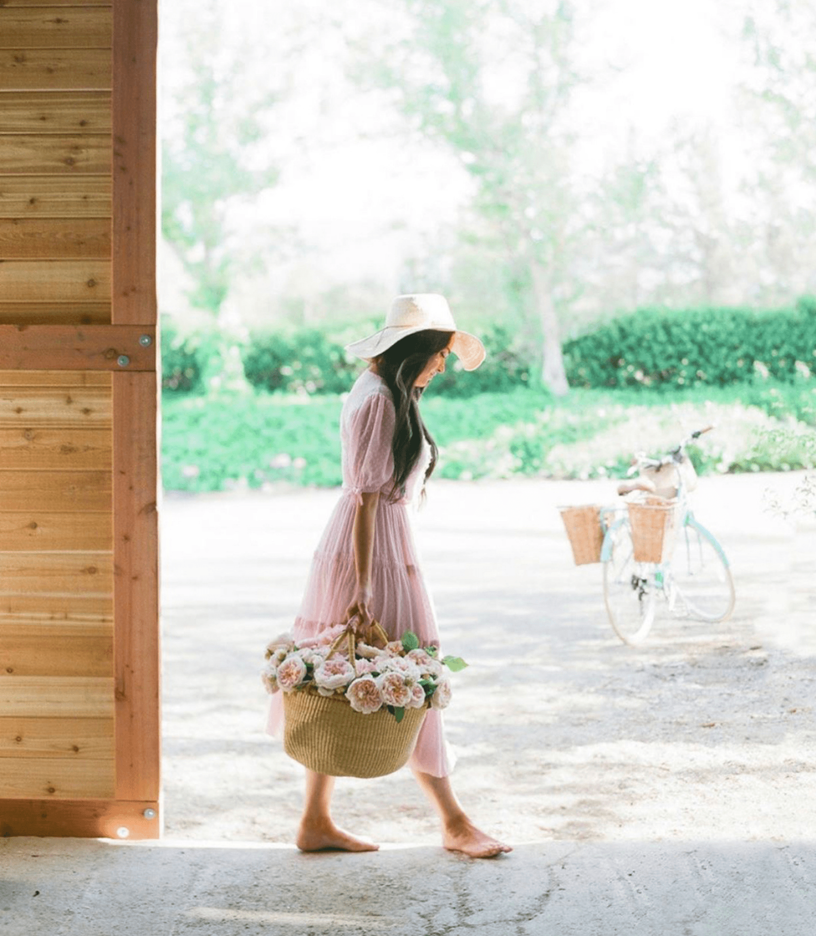 Old fashioned roses, grown the old fashioned way: Our reality of flower farming and building sustainability - Grace Rose Farm