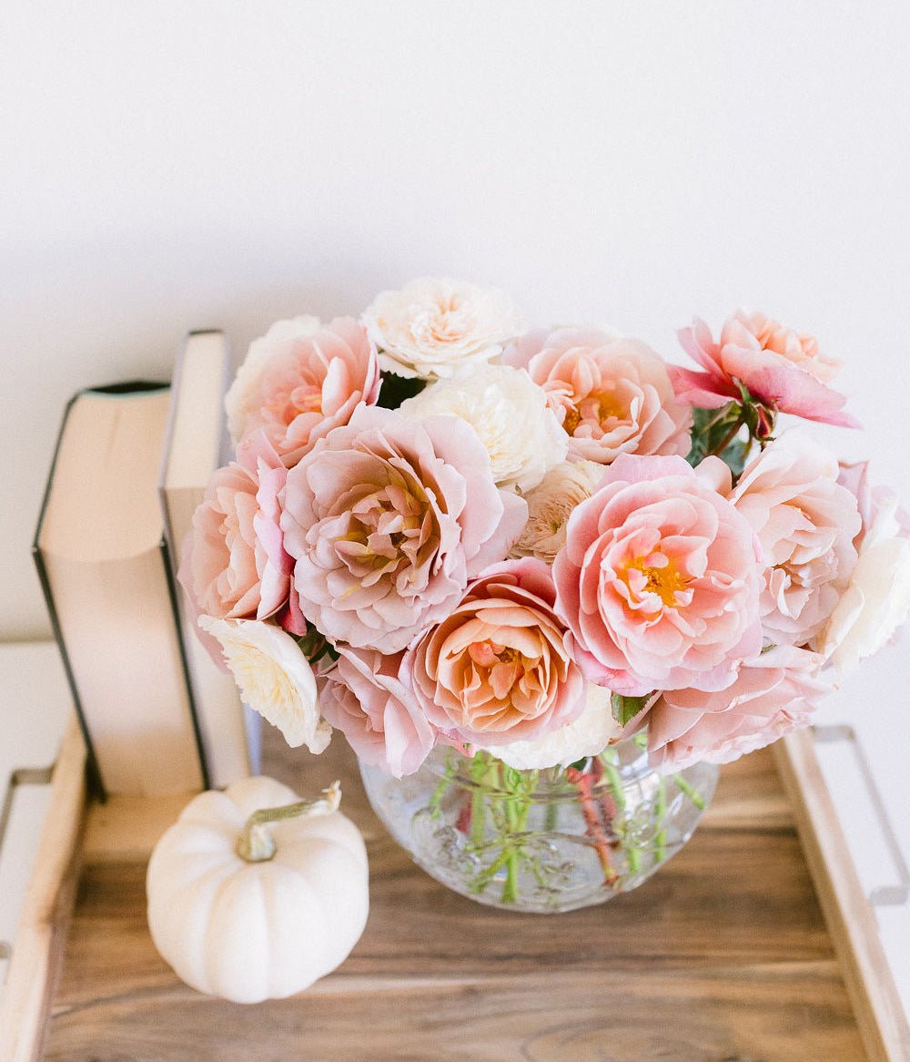 Our Favorite Coffee Table Books - Grace Rose Farm