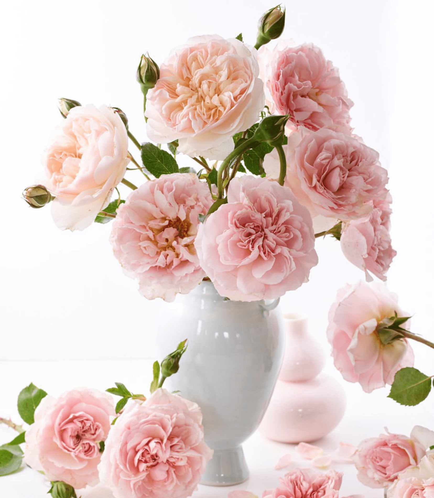 The Best Vases & Shears - Our Favorite Vases and Shears - Grace Rose Farm