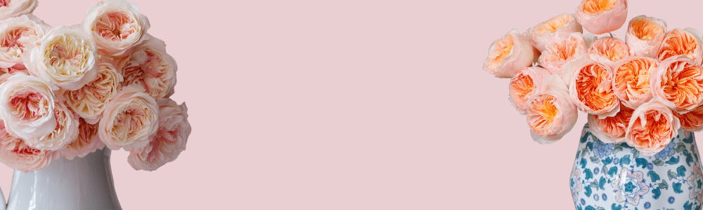 Next Day Delivery - Grace Rose Farm