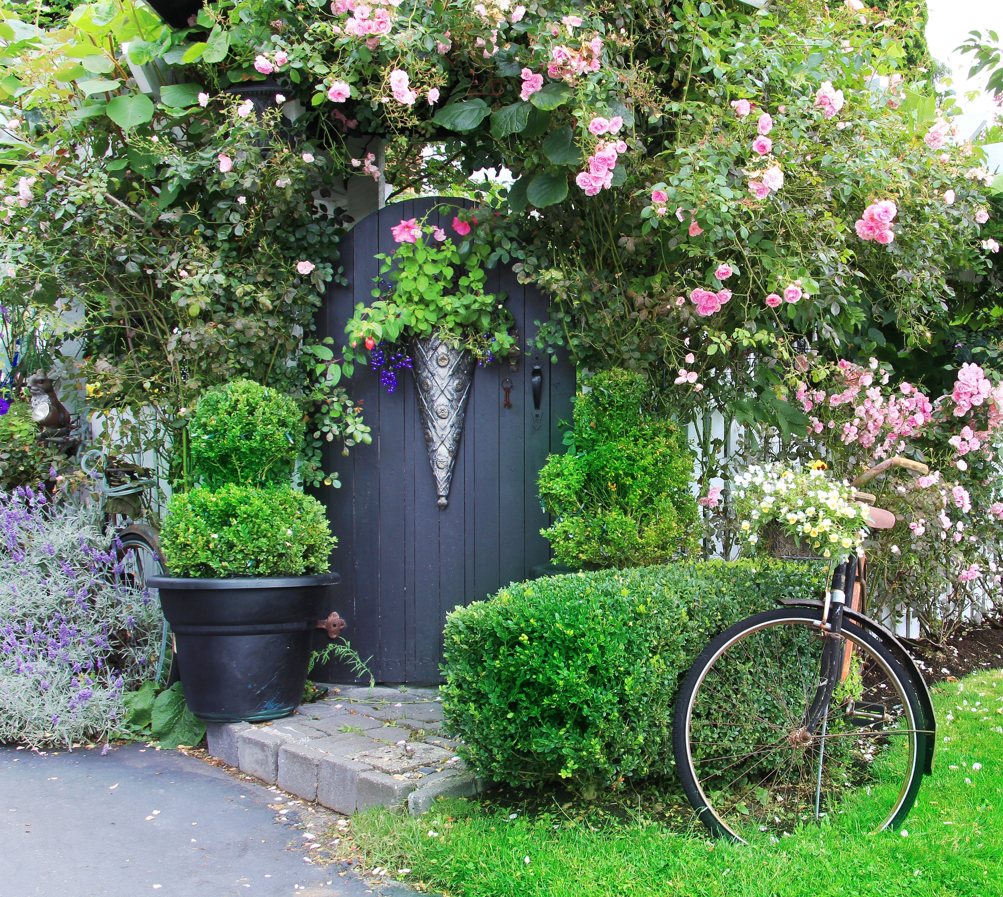 Perfect Pairings for Roses: Boxwood - Grace Rose Farm