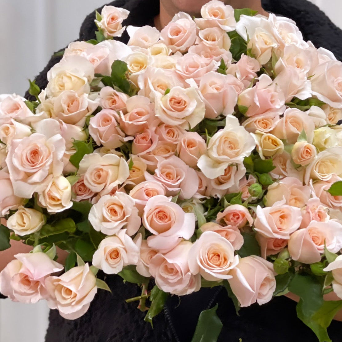 French Lace Bare Root Rose Bush