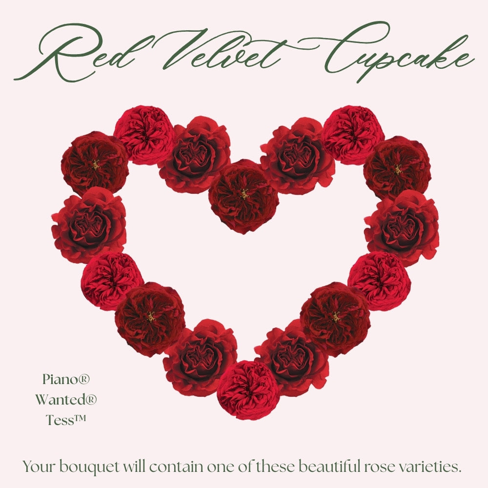 Red Velvet Cupcake Valentine's Day Bouquet