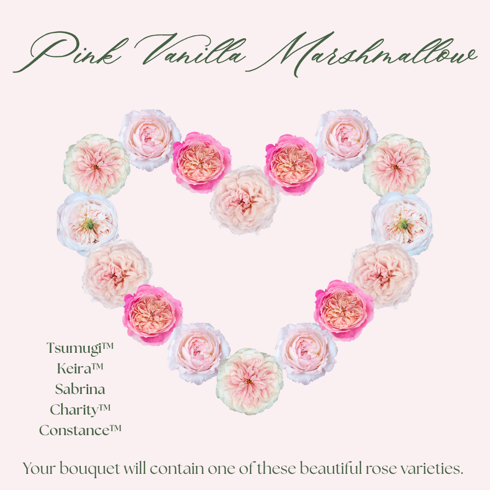 Pink Vanilla Marshmallow Valentine's Day Bouquet