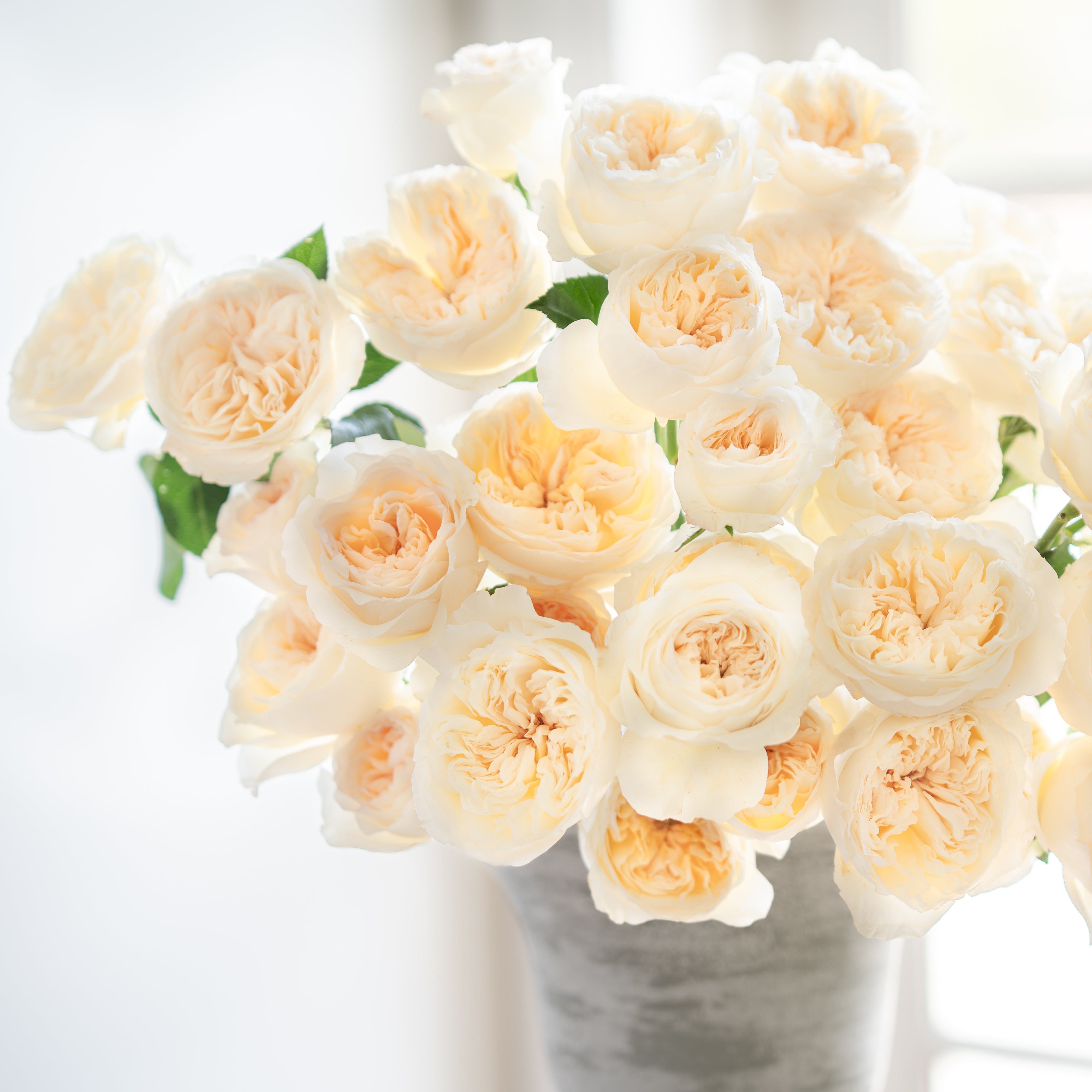 Aurora Gardens!® Special Bouquet