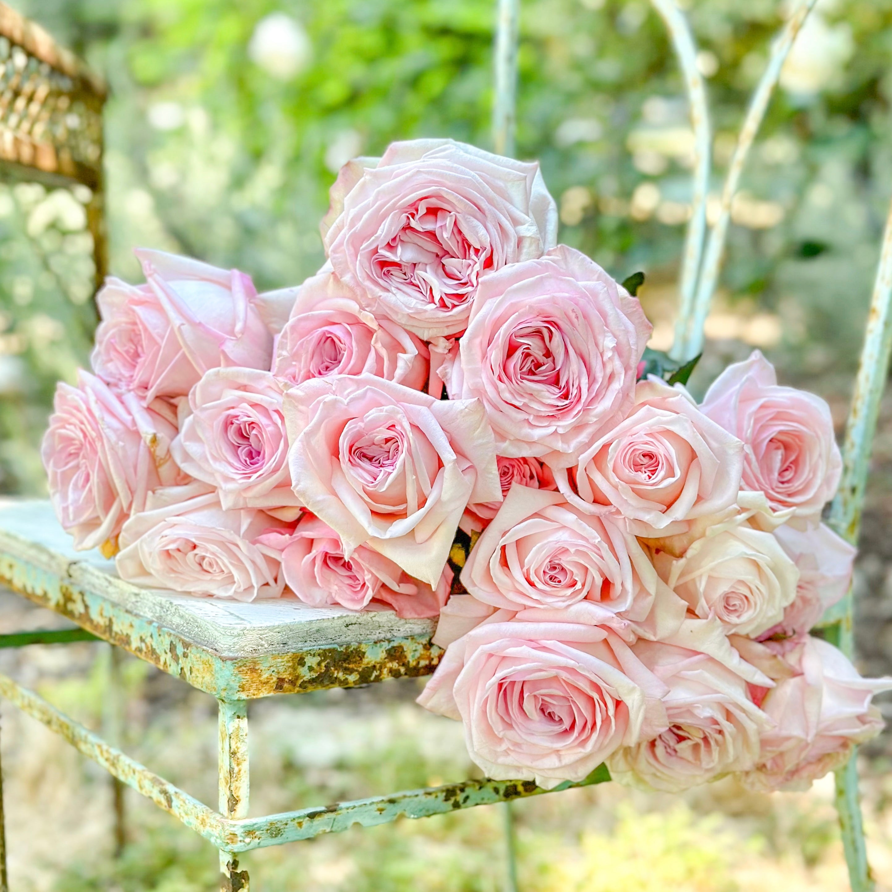 Pink O'Hara® Special Bouquet
