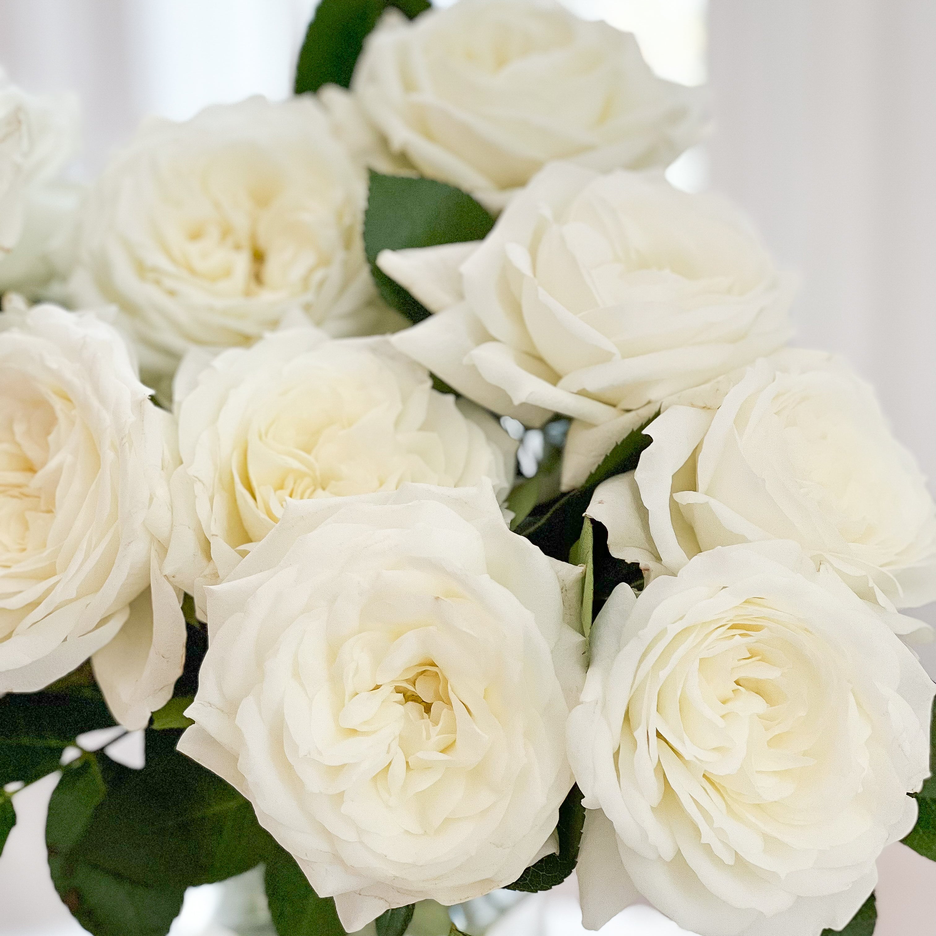 Alabaster® Special Bouquet