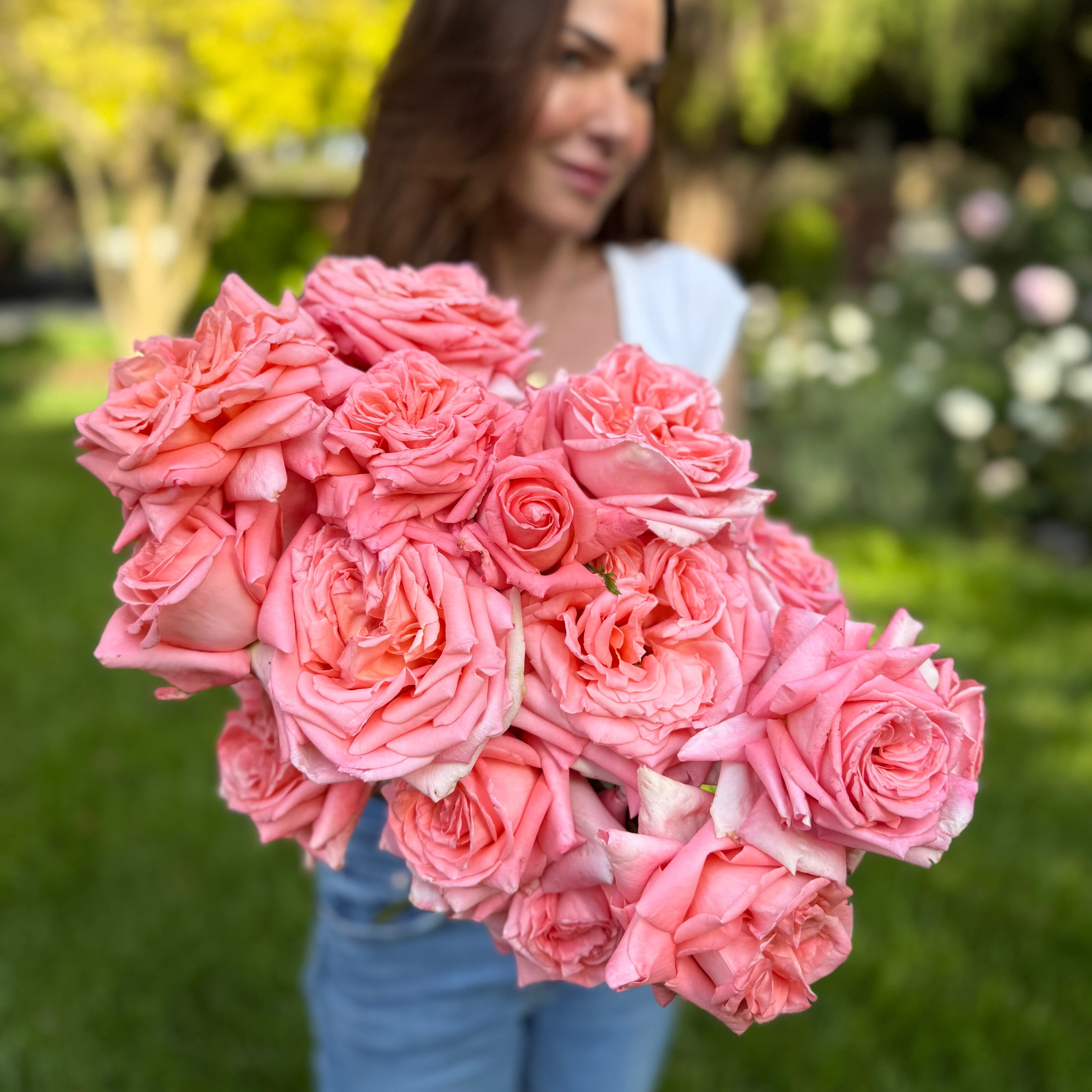 Heavenly Scented™ Bare Root Rose Bush