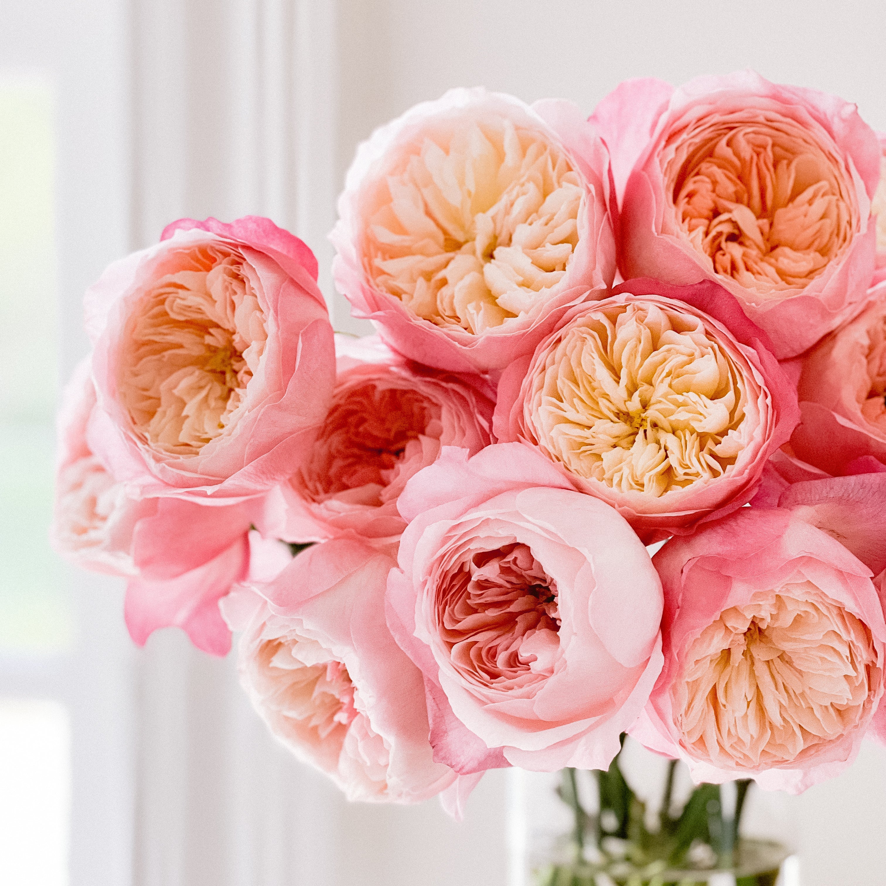 Constance™ Special Bouquet