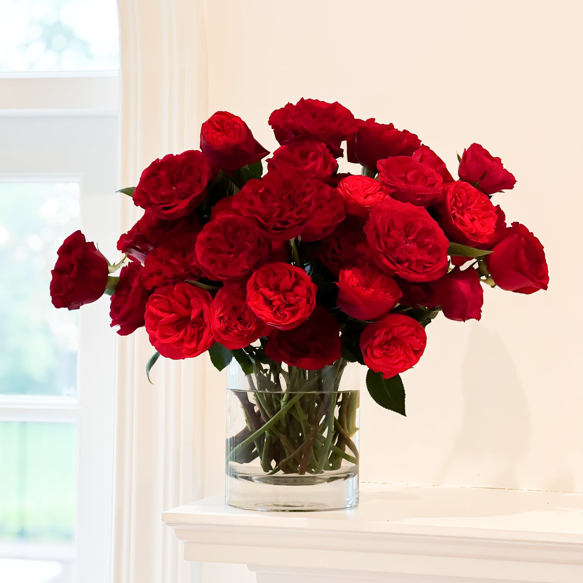 Valentine's Day Red Garden Roses