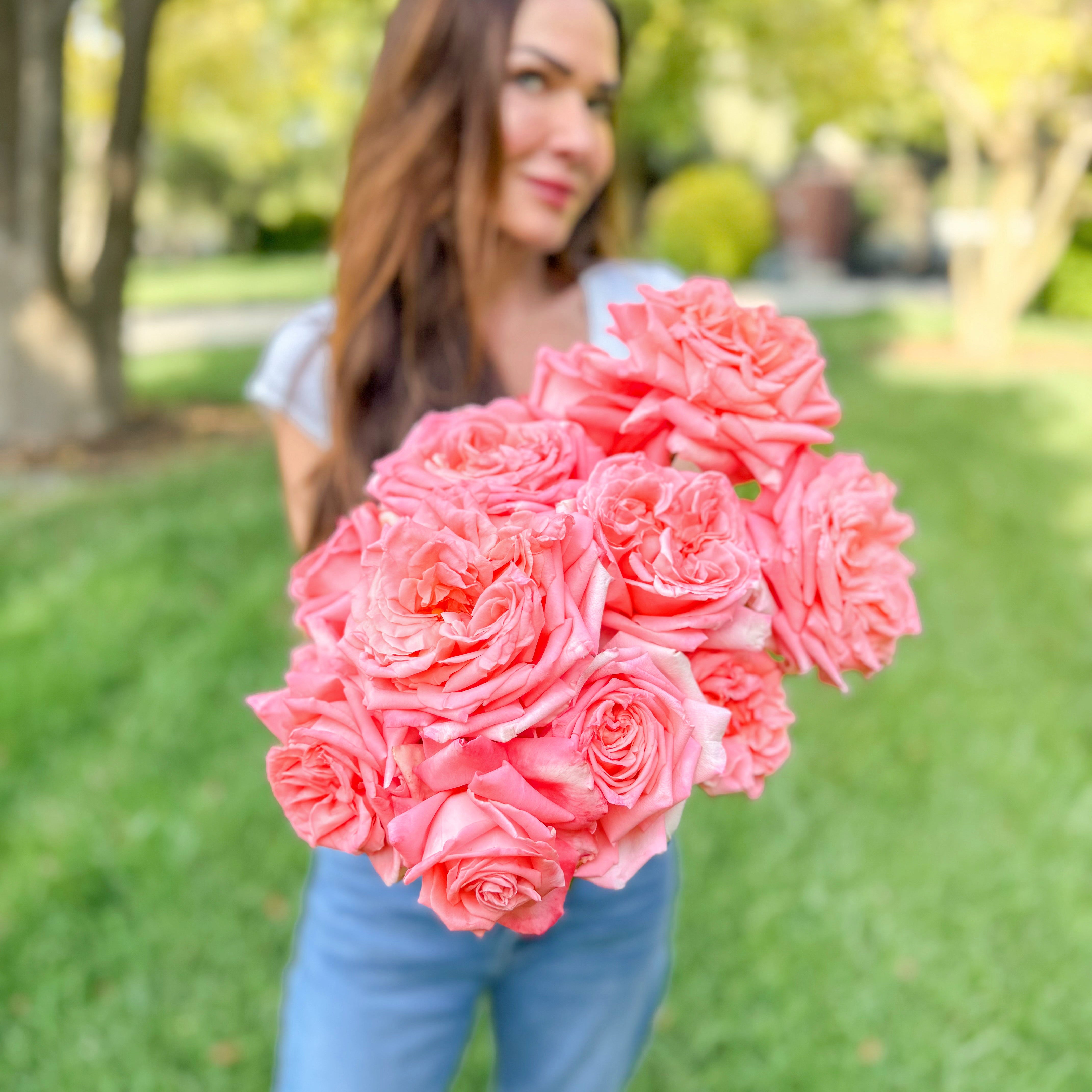 Heavenly Scented™ Bare Root Rose Bush