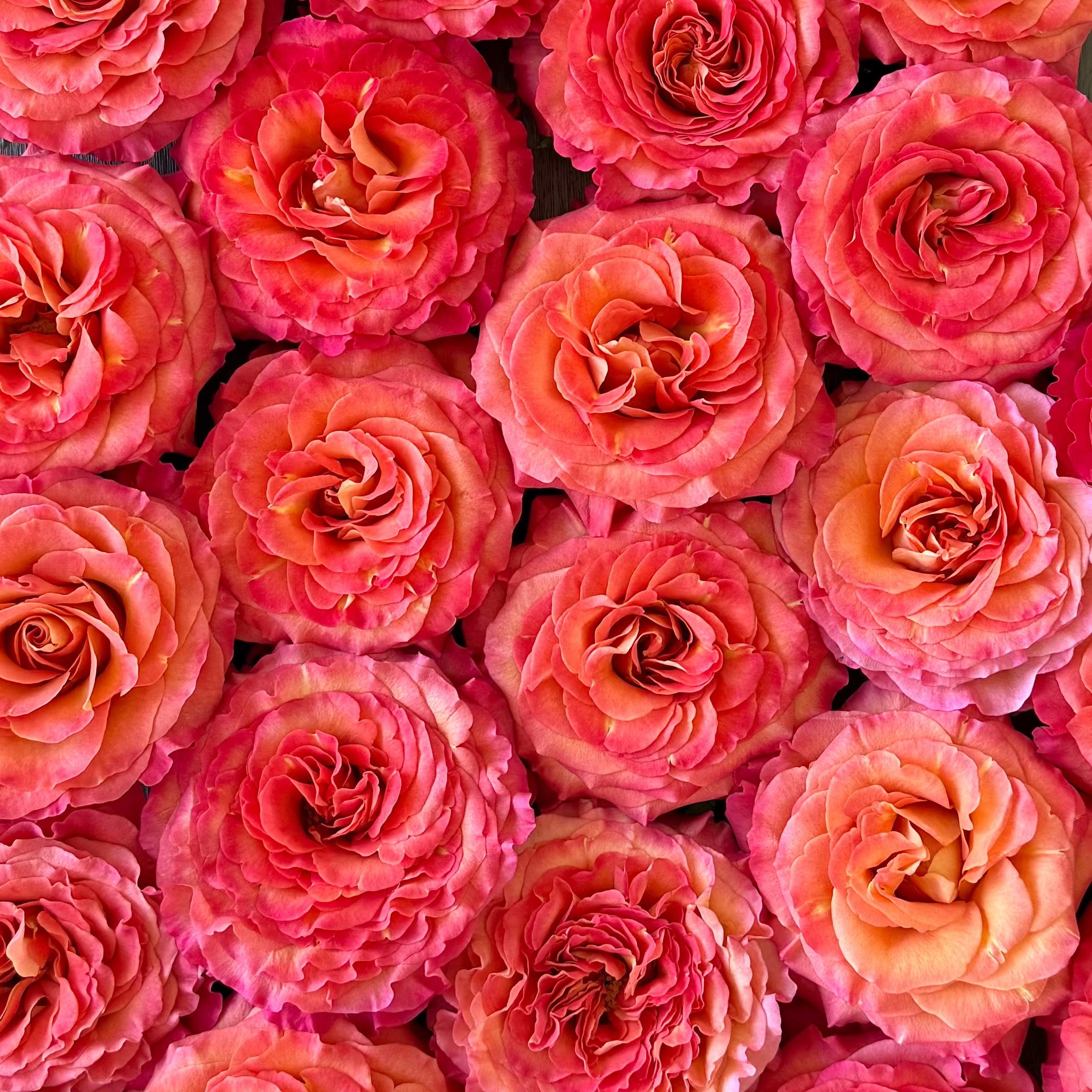 Sunset Celebration® Bouquet