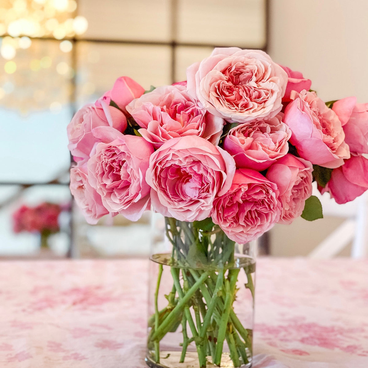 Queen of Elegance™ Bare Root Tree Rose
