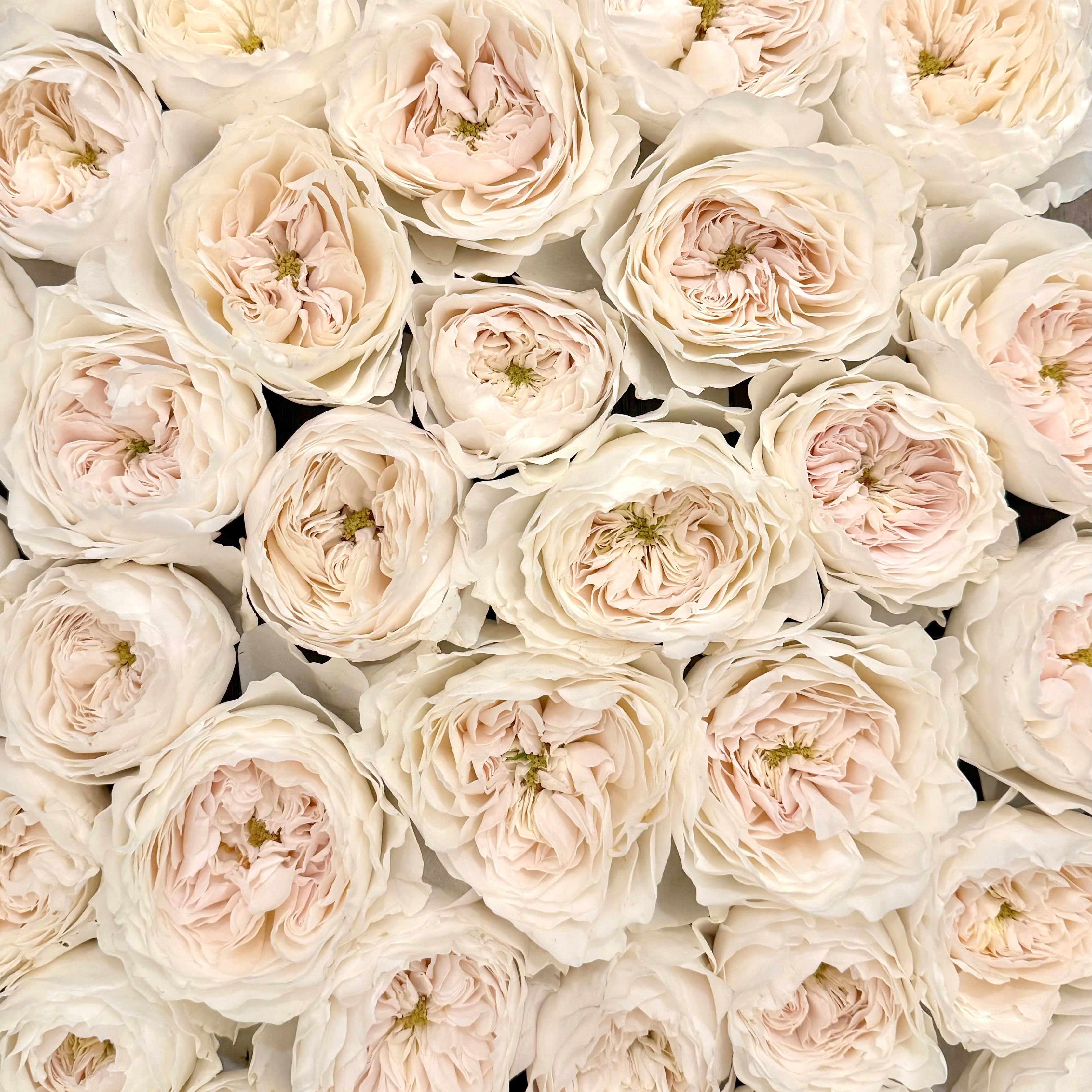 Close-up of a bouquet of light pink roses.