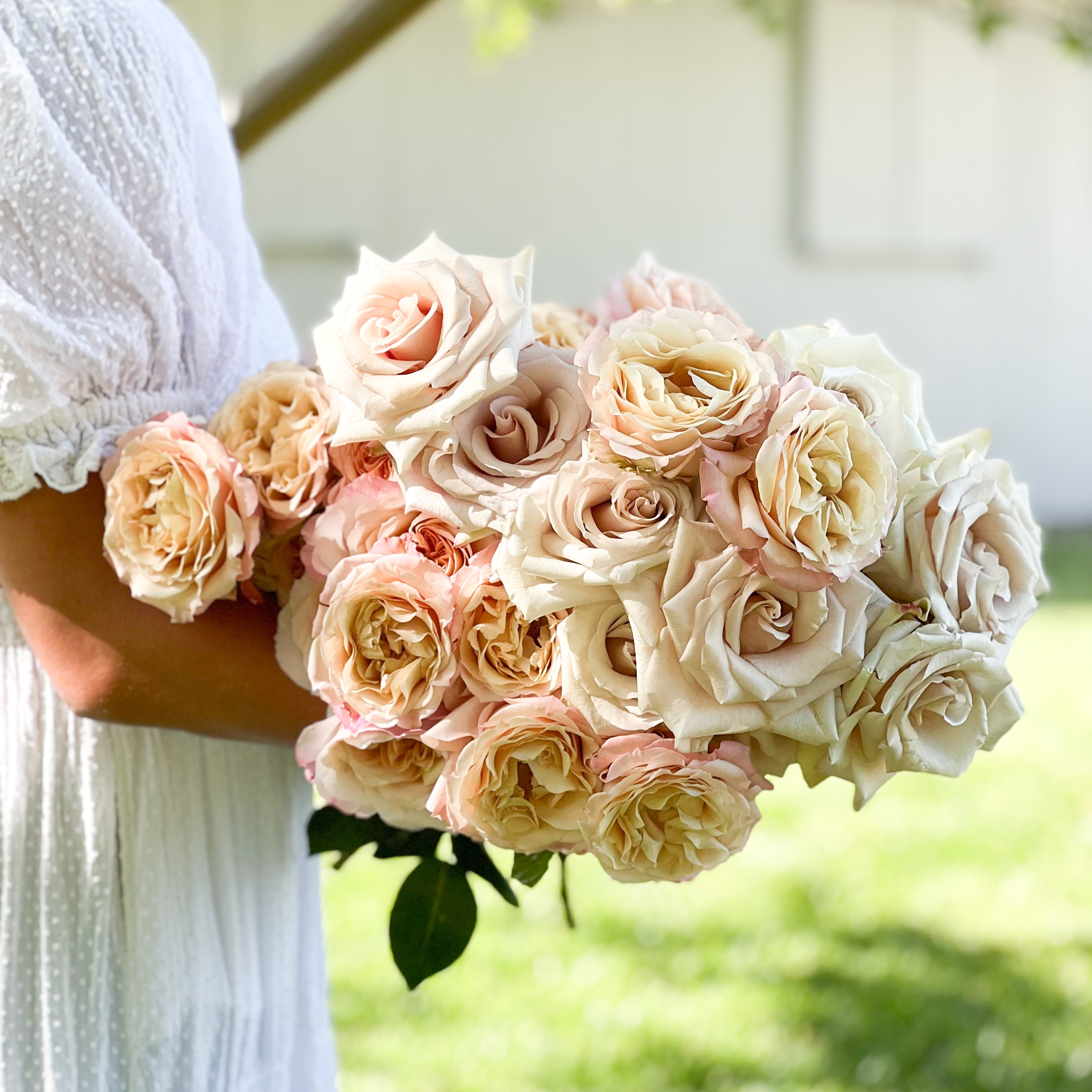 Nude Garden Rose Bundle