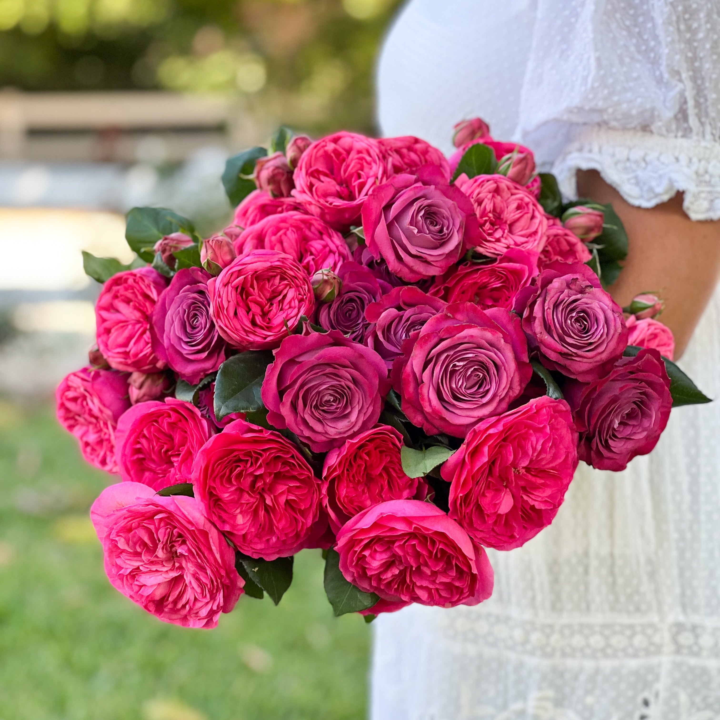 Jewel Tones Garden Rose Bundle