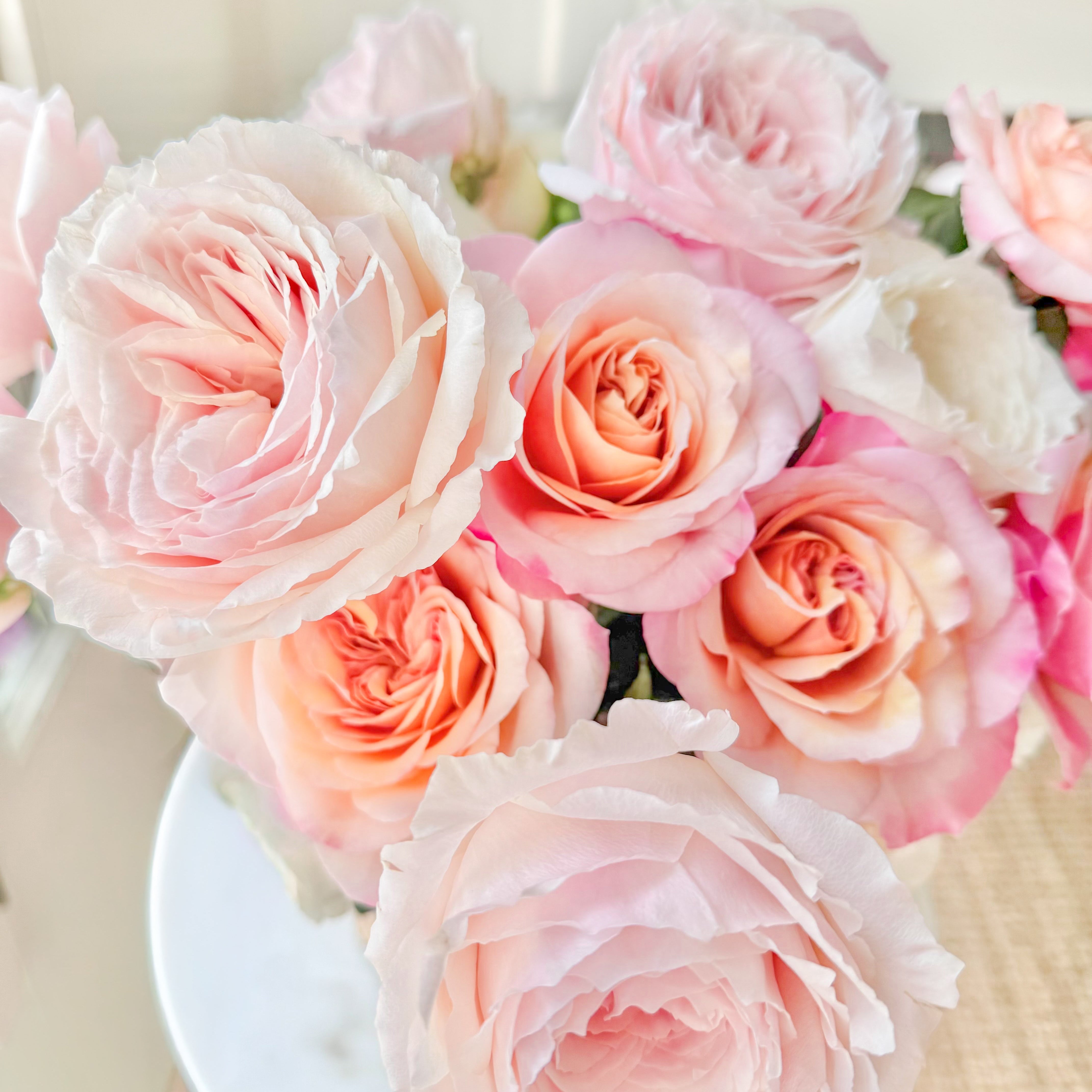 Close-up of pink and peach roses on a white plate.