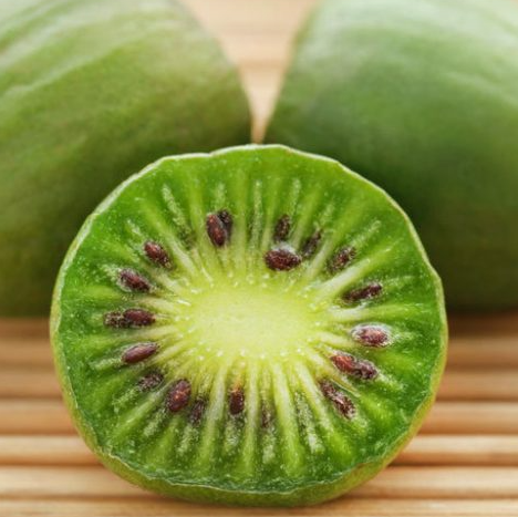 Hardy Kiwi Vine - 'Issai' Self-Pollinating Potted Kiwi Plant