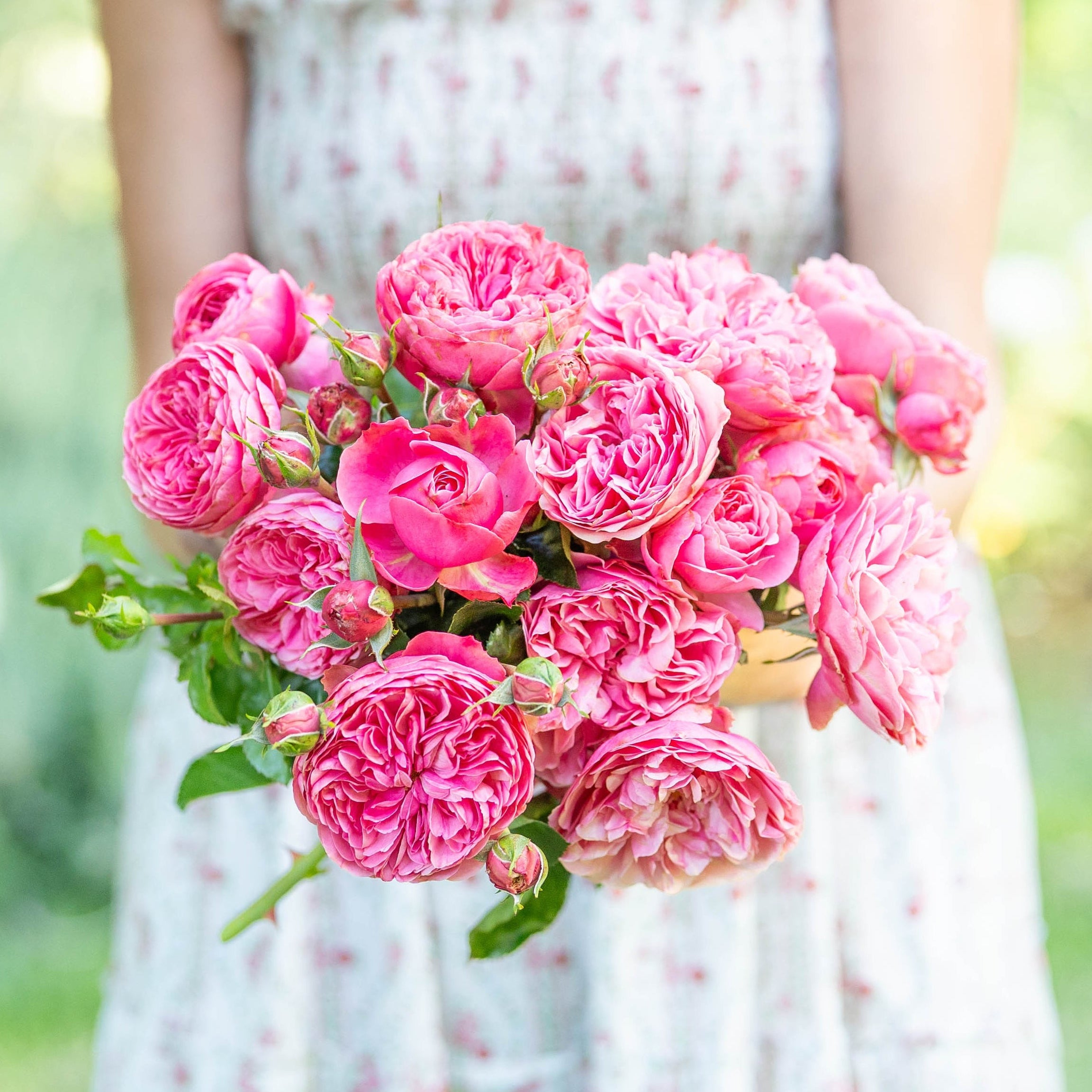 Woman holding a bouquet of pink flowers in a garden setting