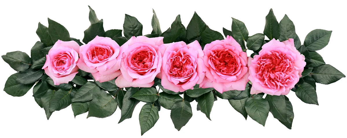 Millicent™ Special Bouquet