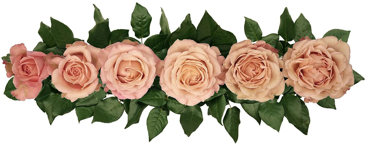 Sahara Sensation® Bouquet