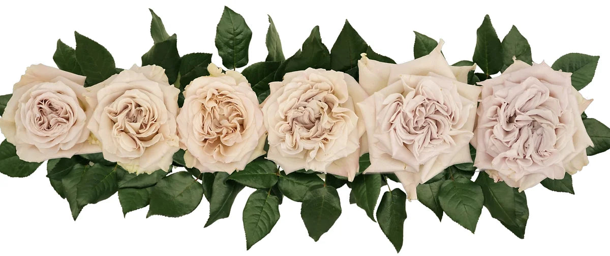 Westminster Abbey® Special Bouquet