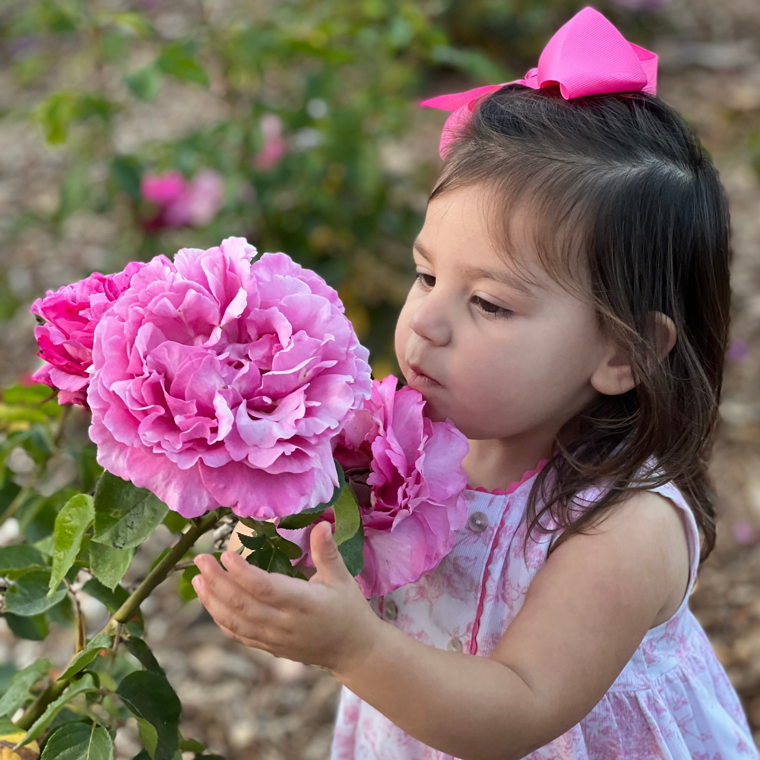 Gracie’s Blooms & Branches™ Bundles - Yves Piaget™