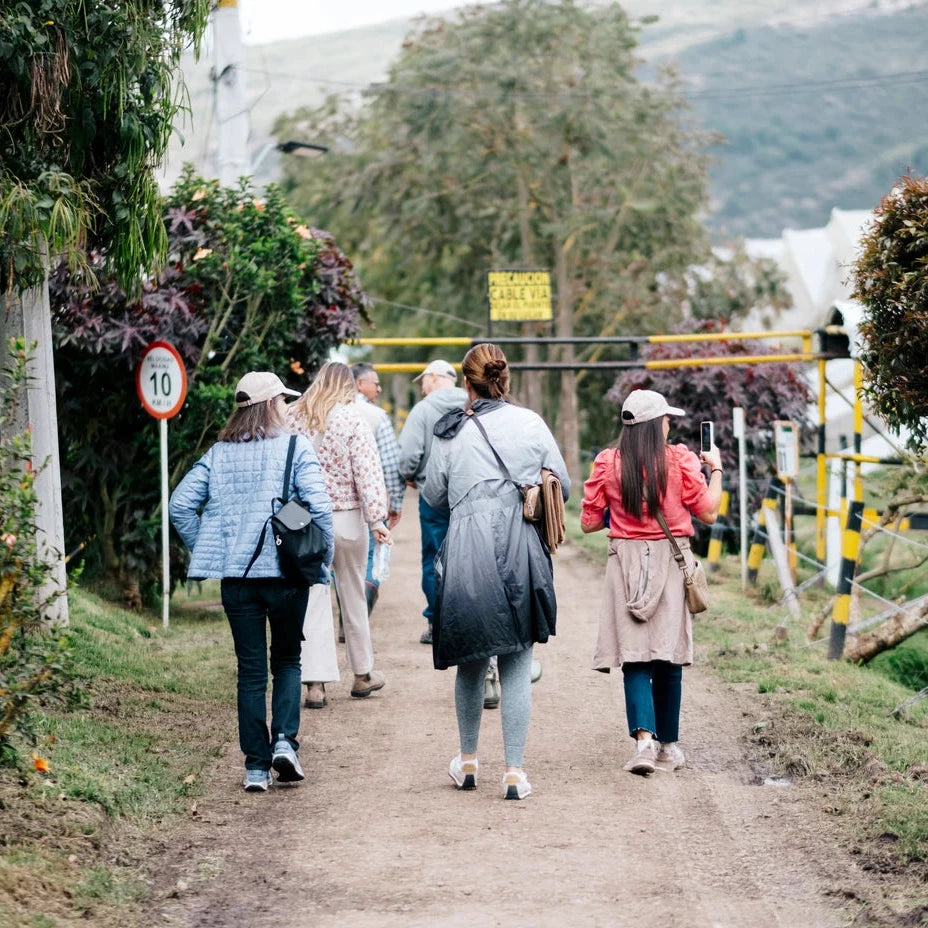 The Rose Immersion - A Colombian Floral Retreat at the World's Finest Rose Farm (Deposit)