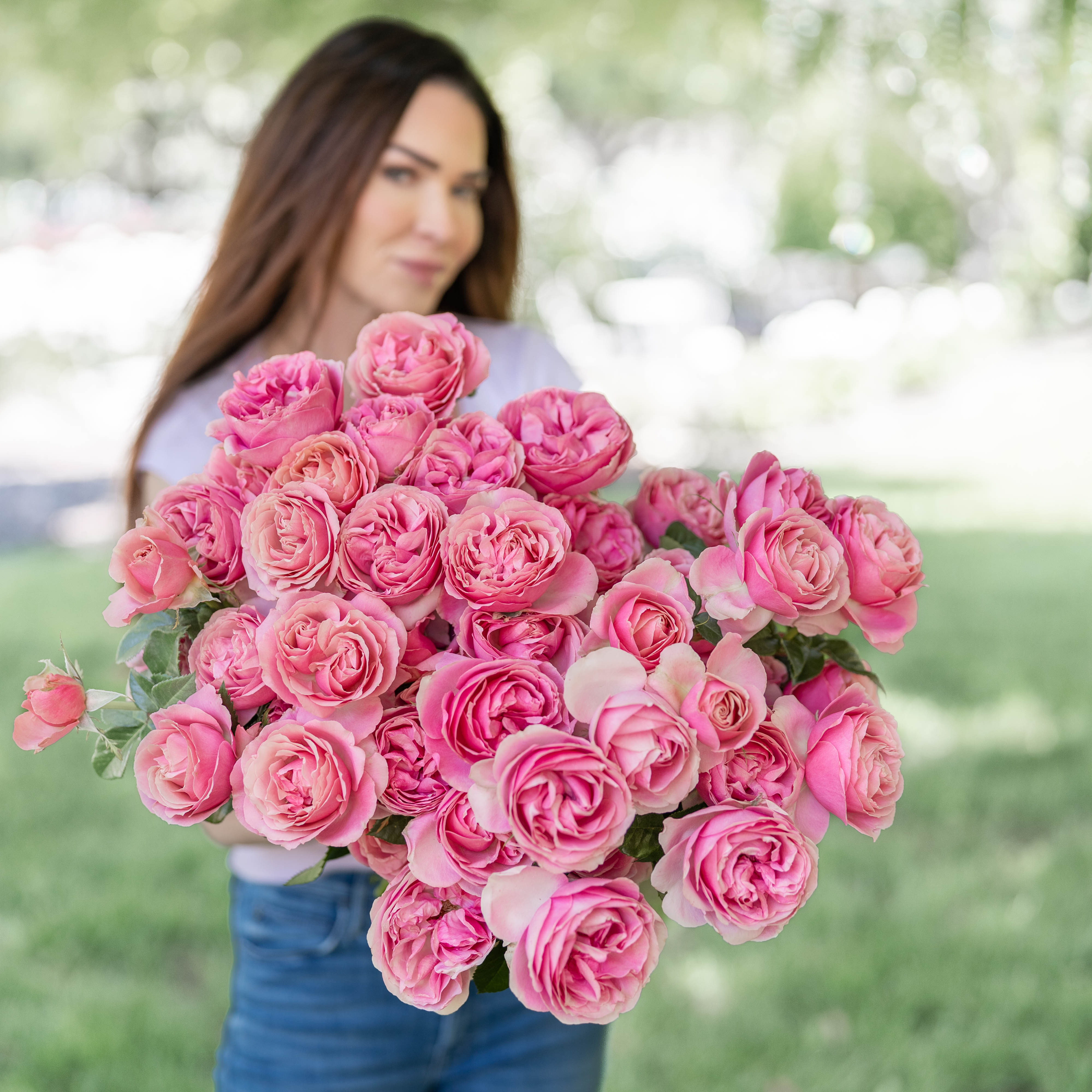 All Dressed Up™ Bare Root Rose Bush