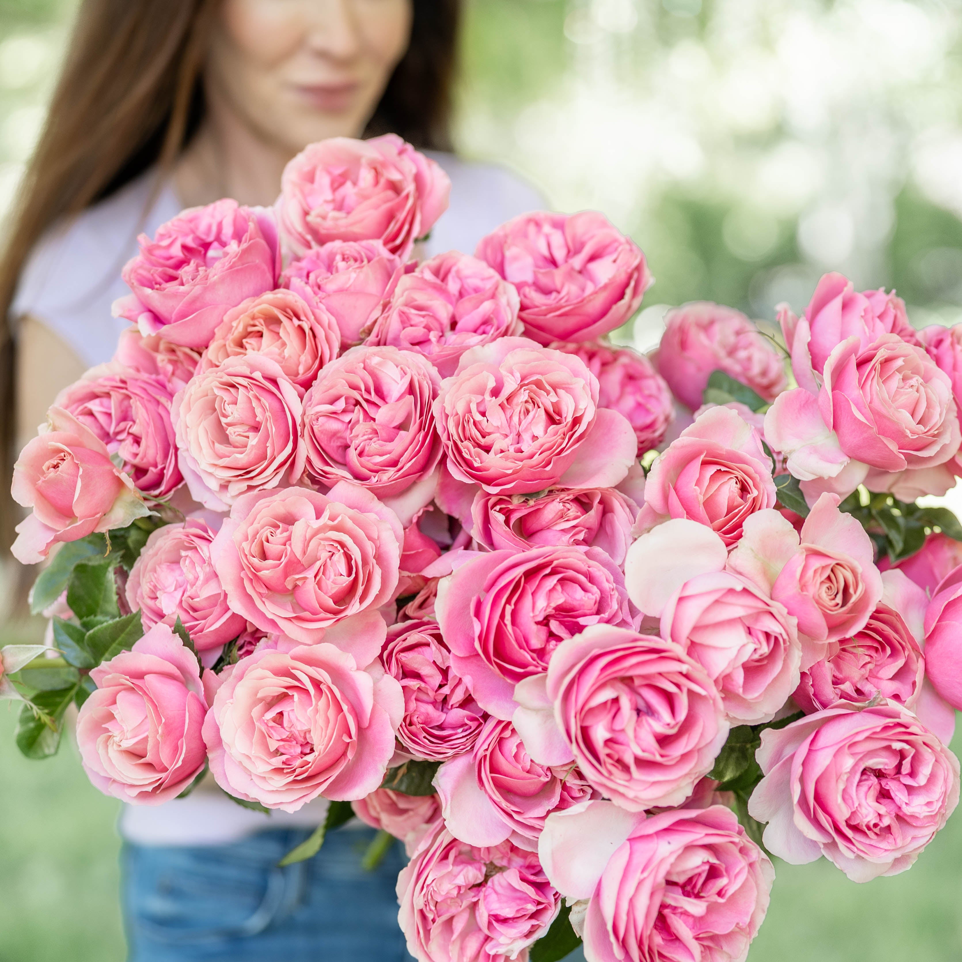 Pride & Petals® Garden Color Stories™ Bundle of 3 Bare Root Roses