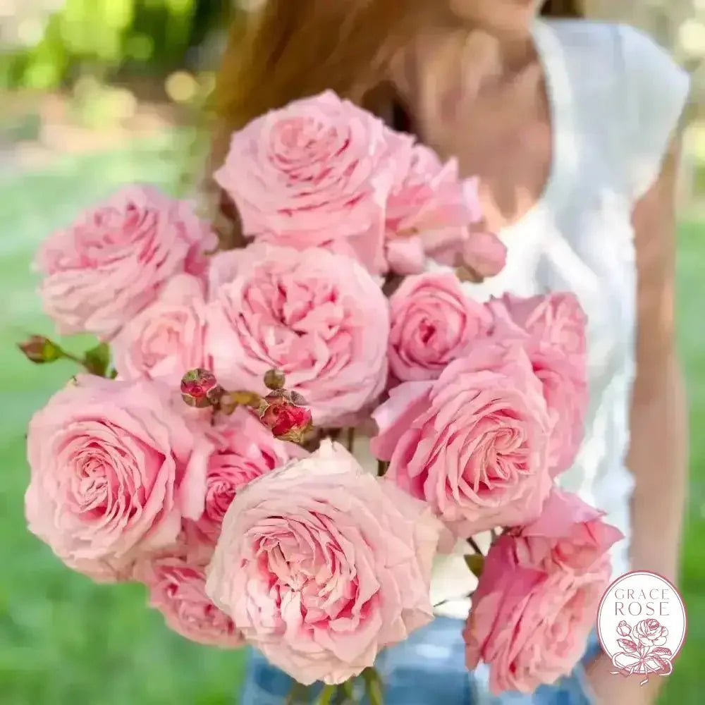 April's Birthday Bundle