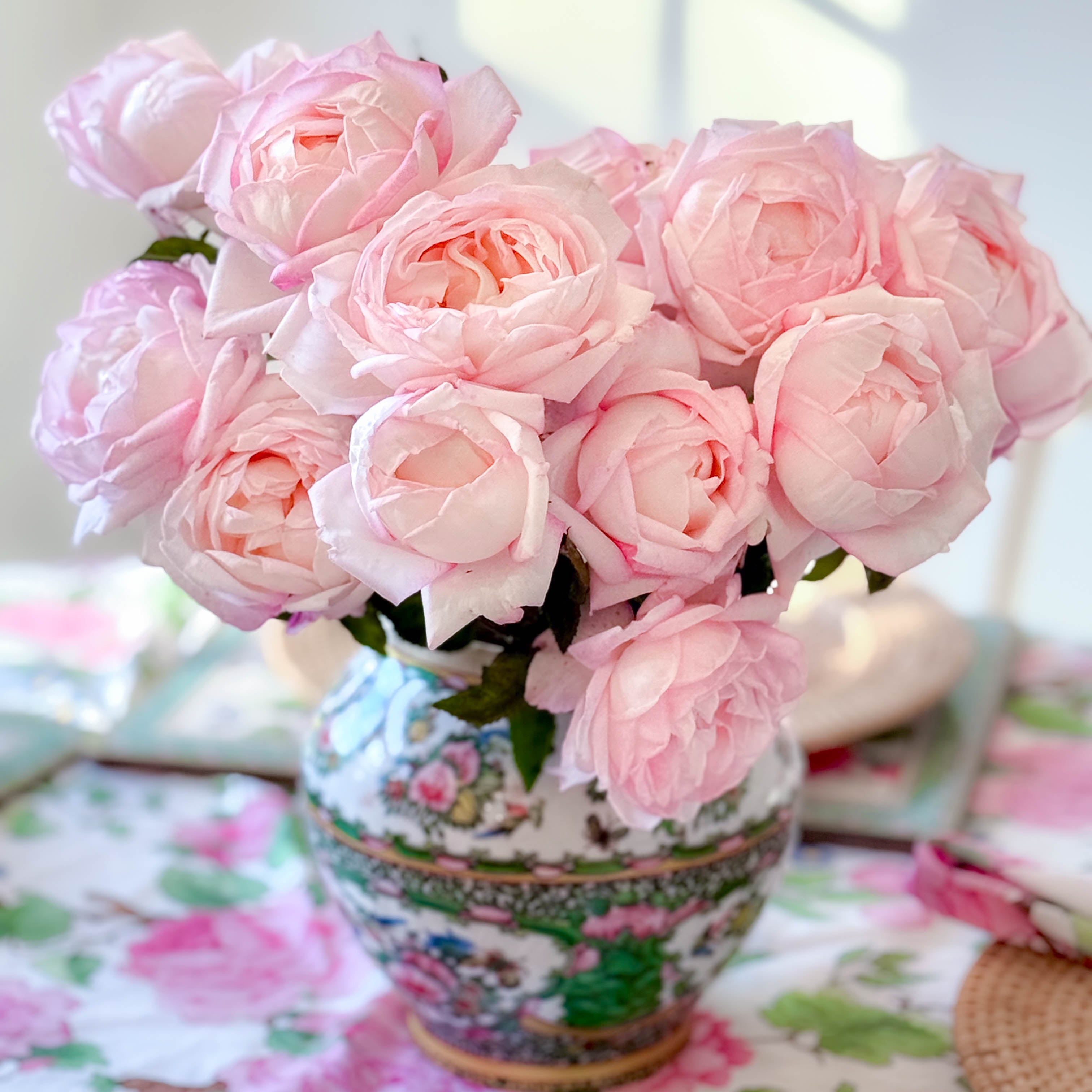 Best Kept Secret™ Potted Rose Bush