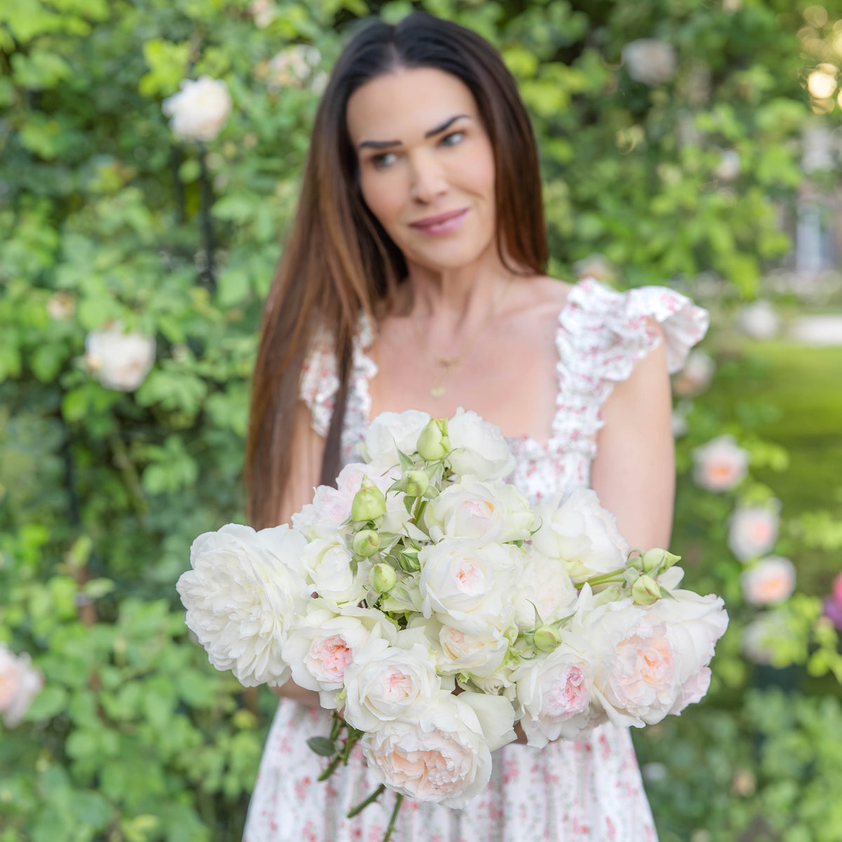 Bolero™ Bare Root Tree Rose