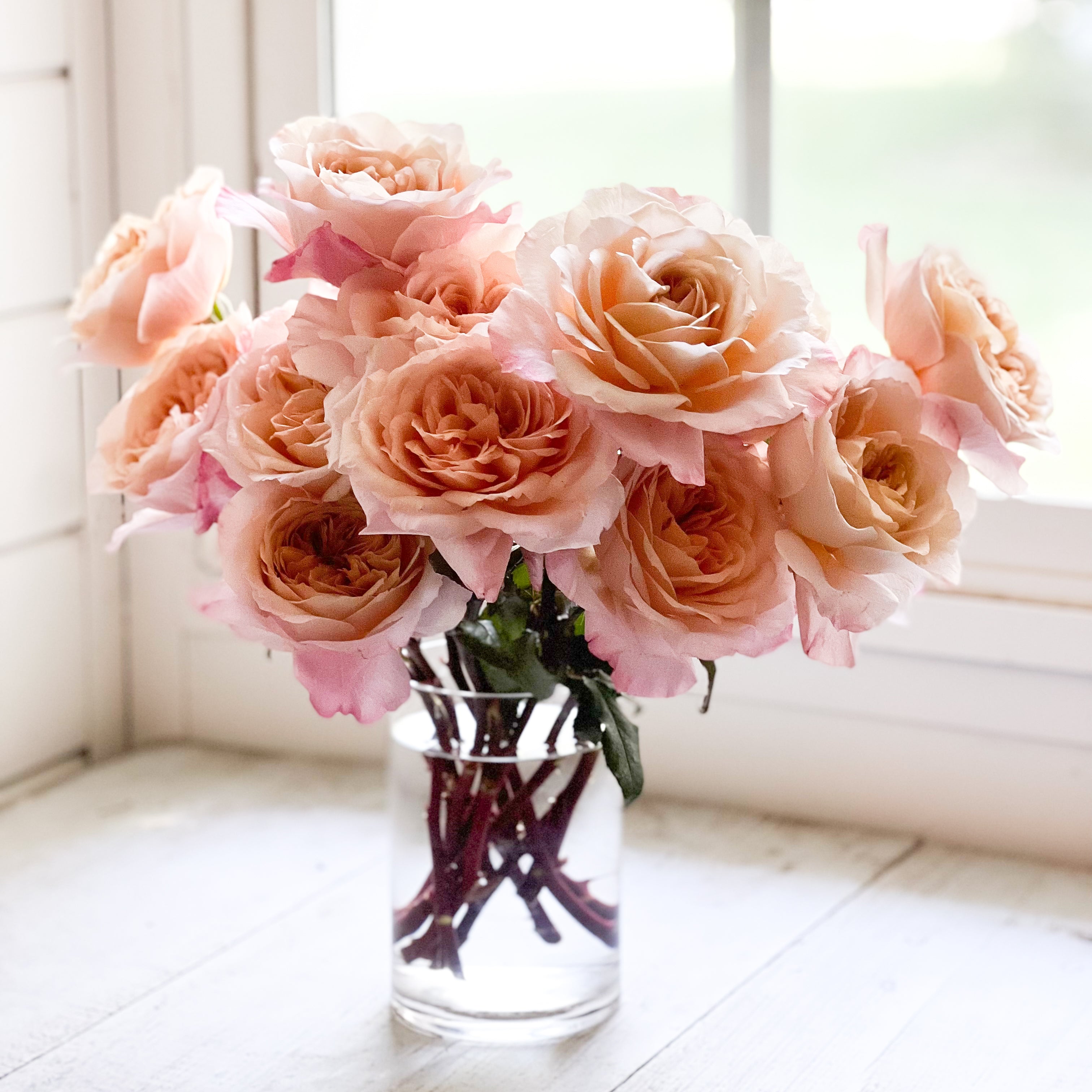 Miyabi Cha™ Special Bouquet