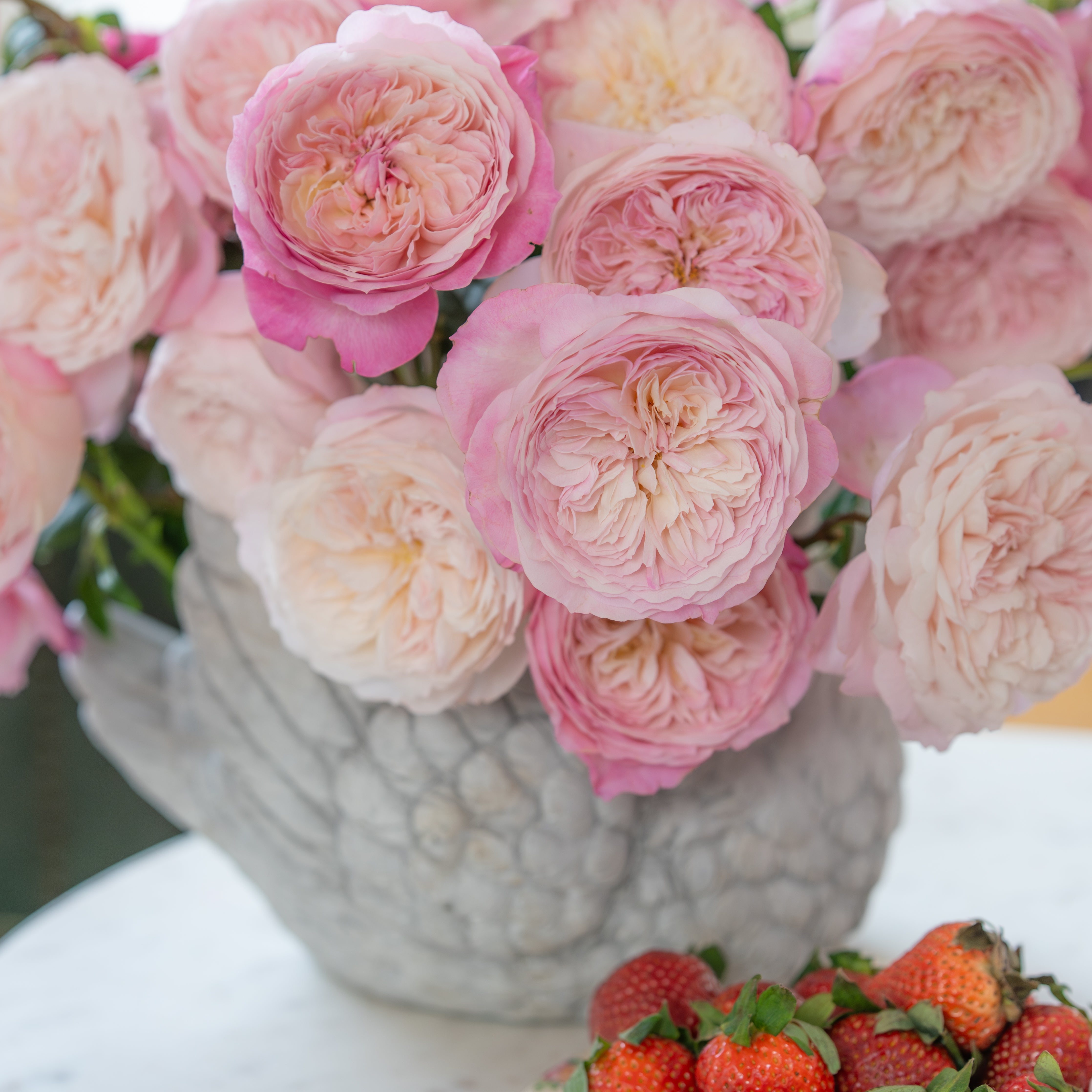 David Austin® Constance™ Valentine's Day Bouquet