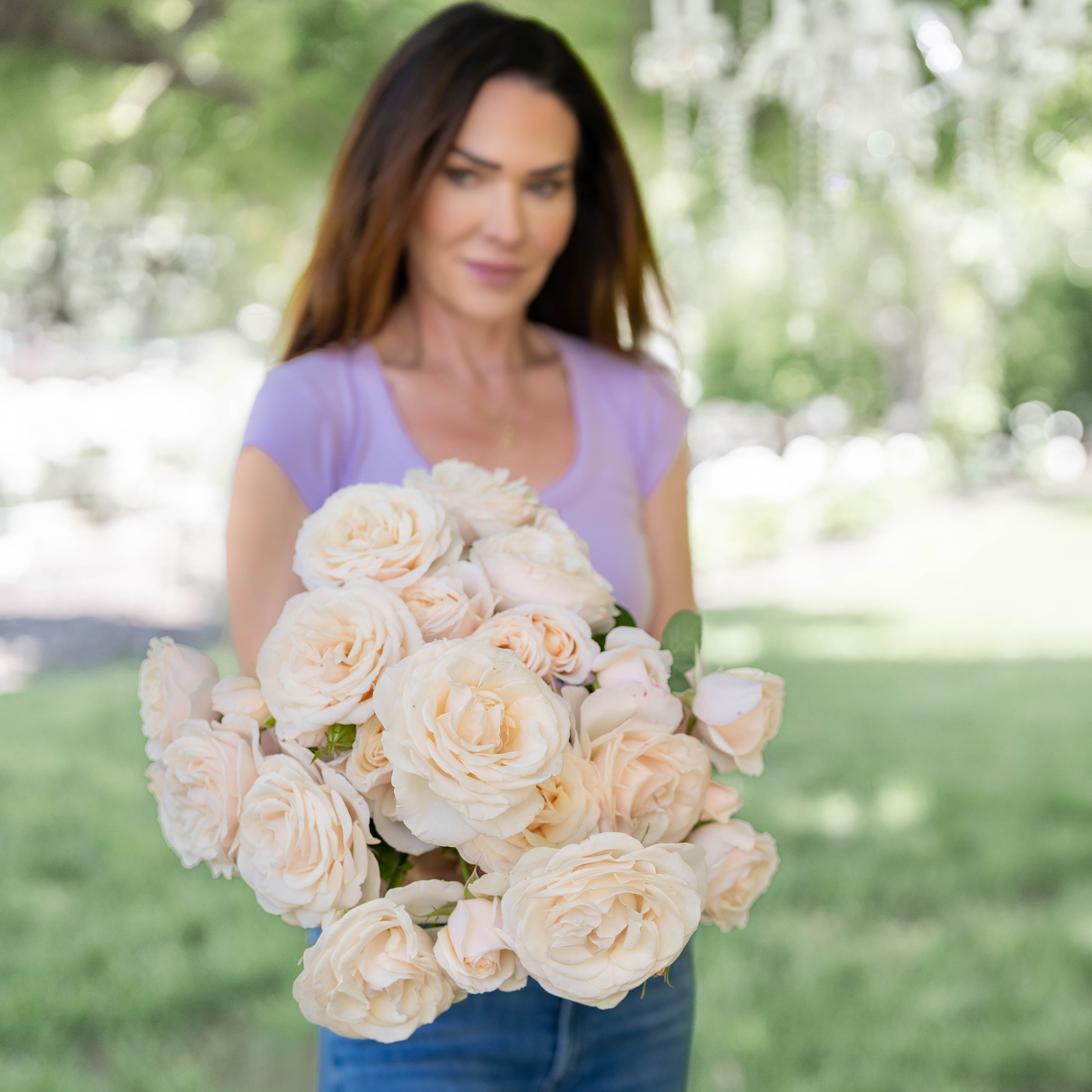 Easy Spirit™ Potted Rose Bush