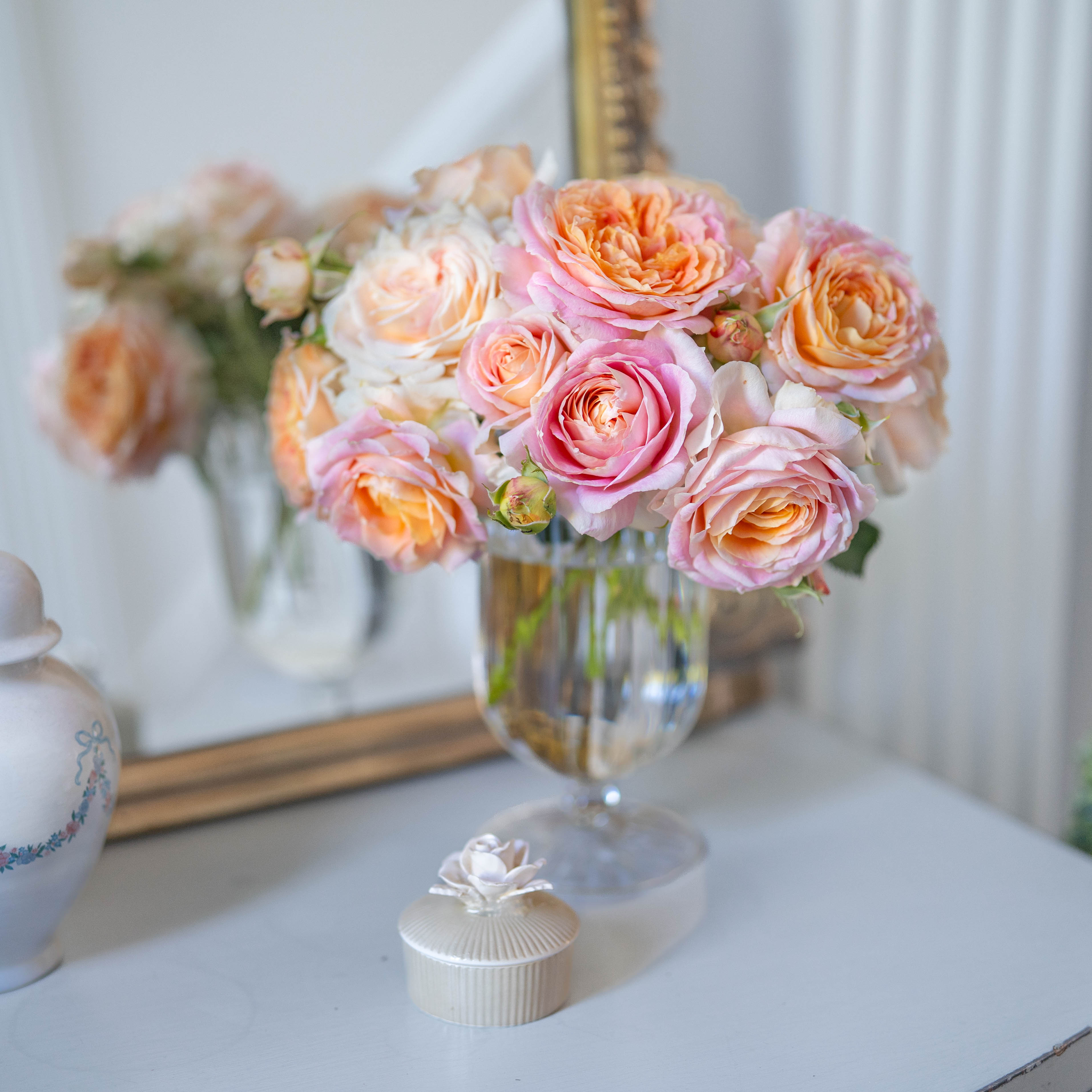 Fun in the Sun™ Bare Root Tree Rose