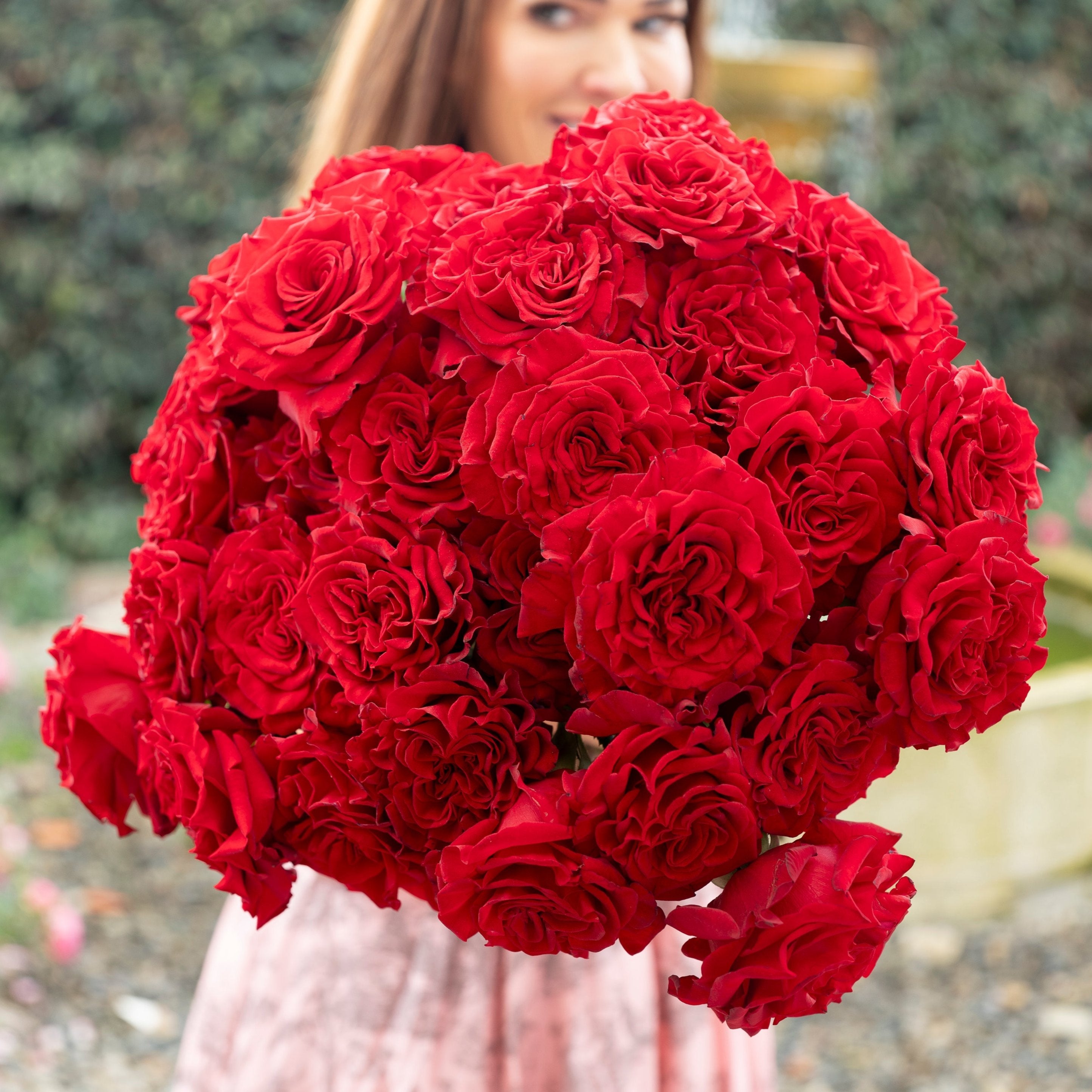 Always in Bloom™ Garden Rose Subscription