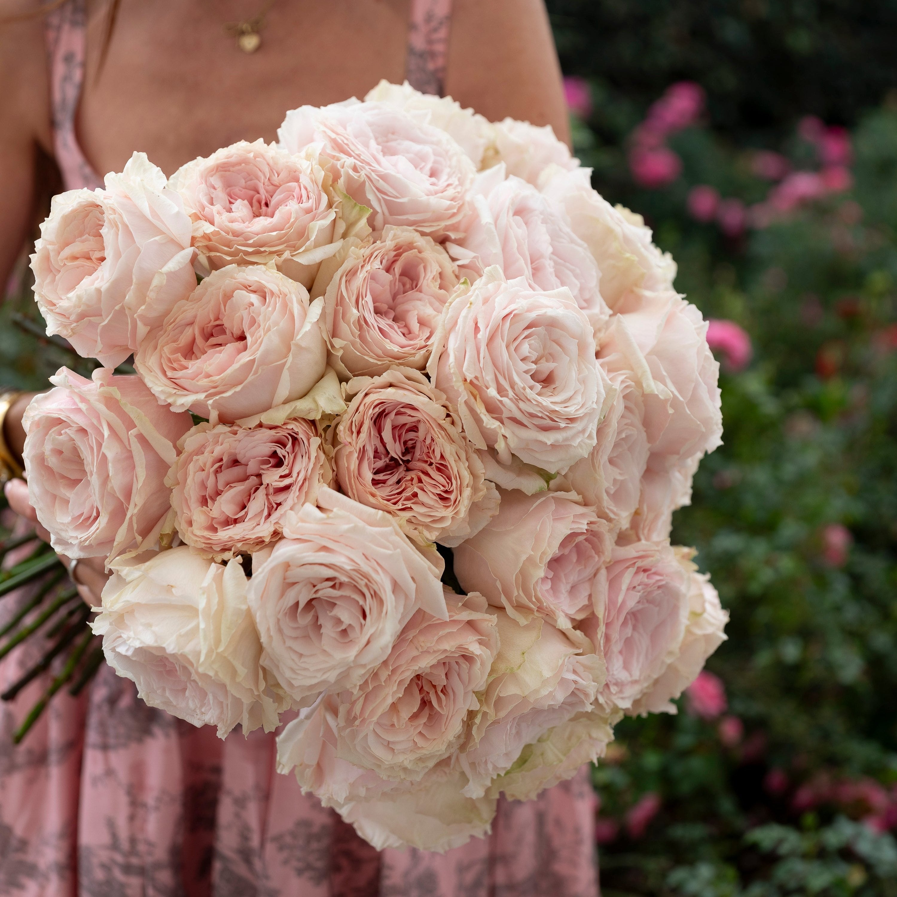 Always in Bloom™ Garden Rose Subscription