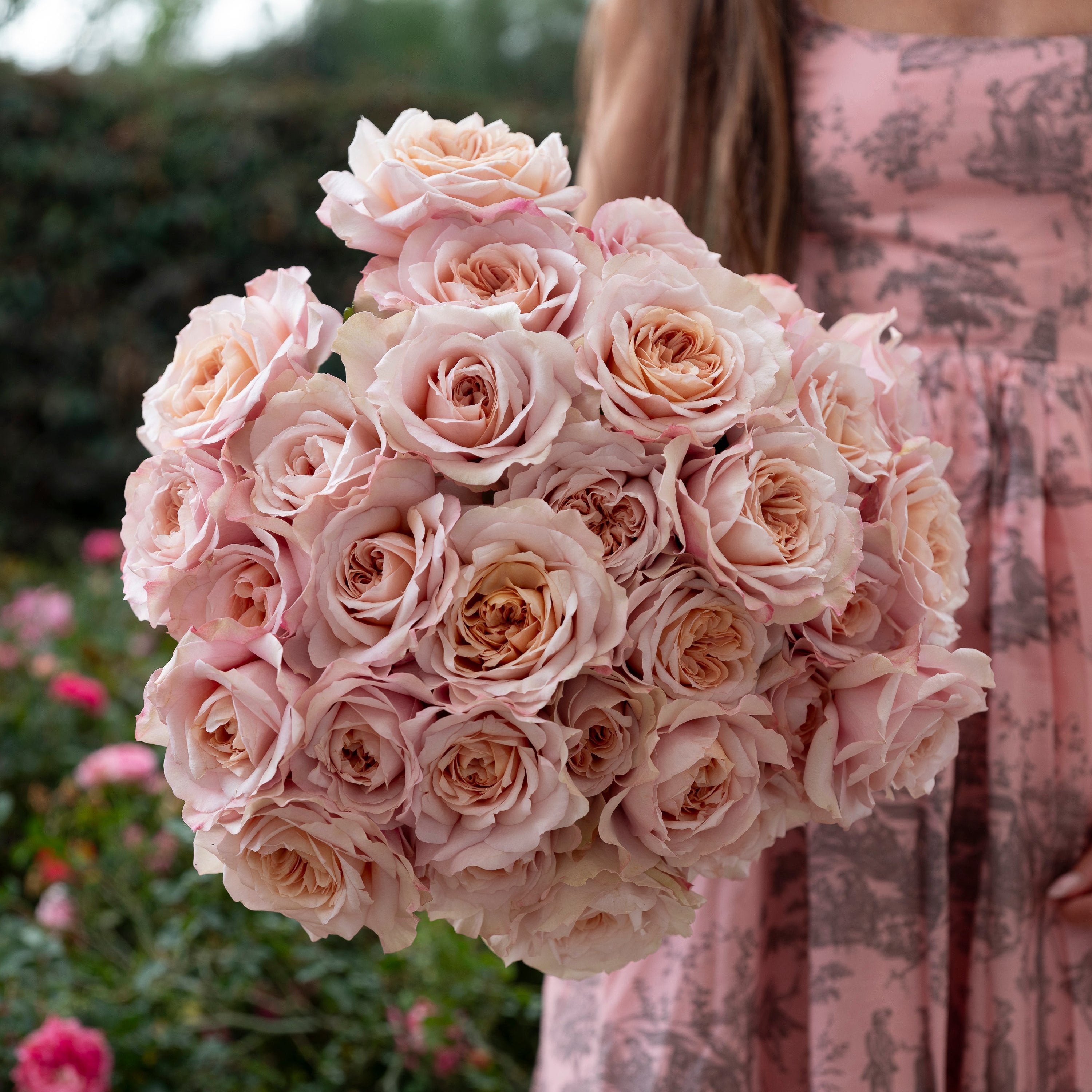 Miyabi Cha™ Special Bouquet