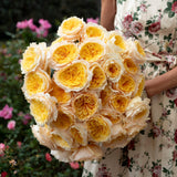 David Austin® Effie™ Bouquet