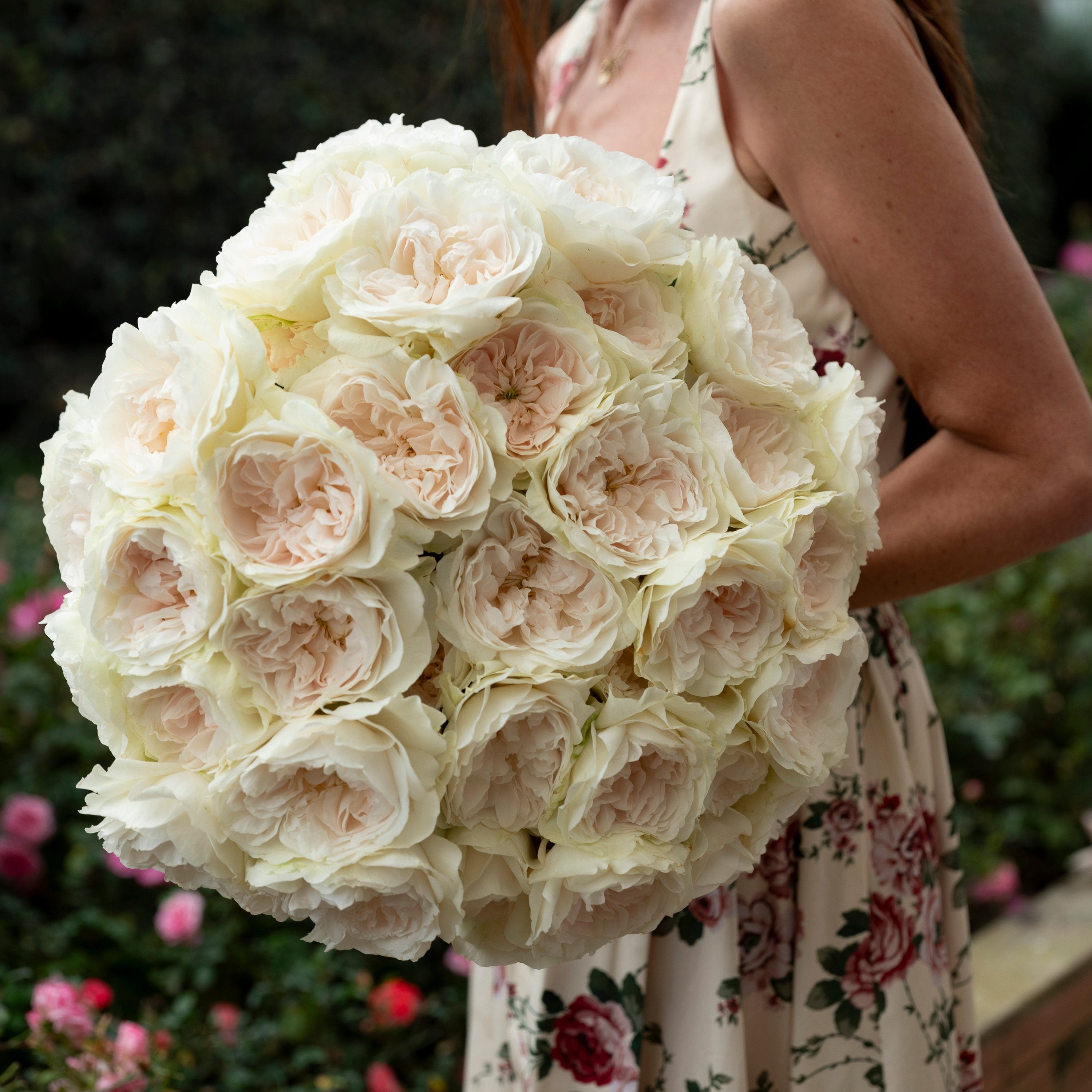 David Austin® Purity™ Bouquet