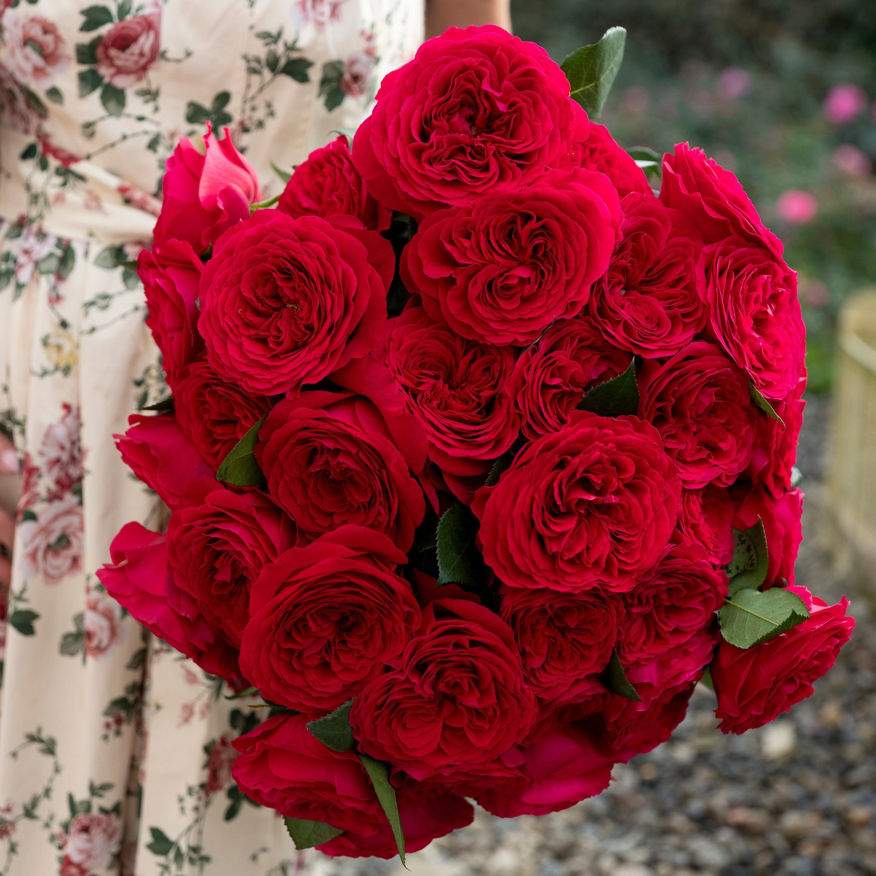 David Austin® Hettie™ Bouquet