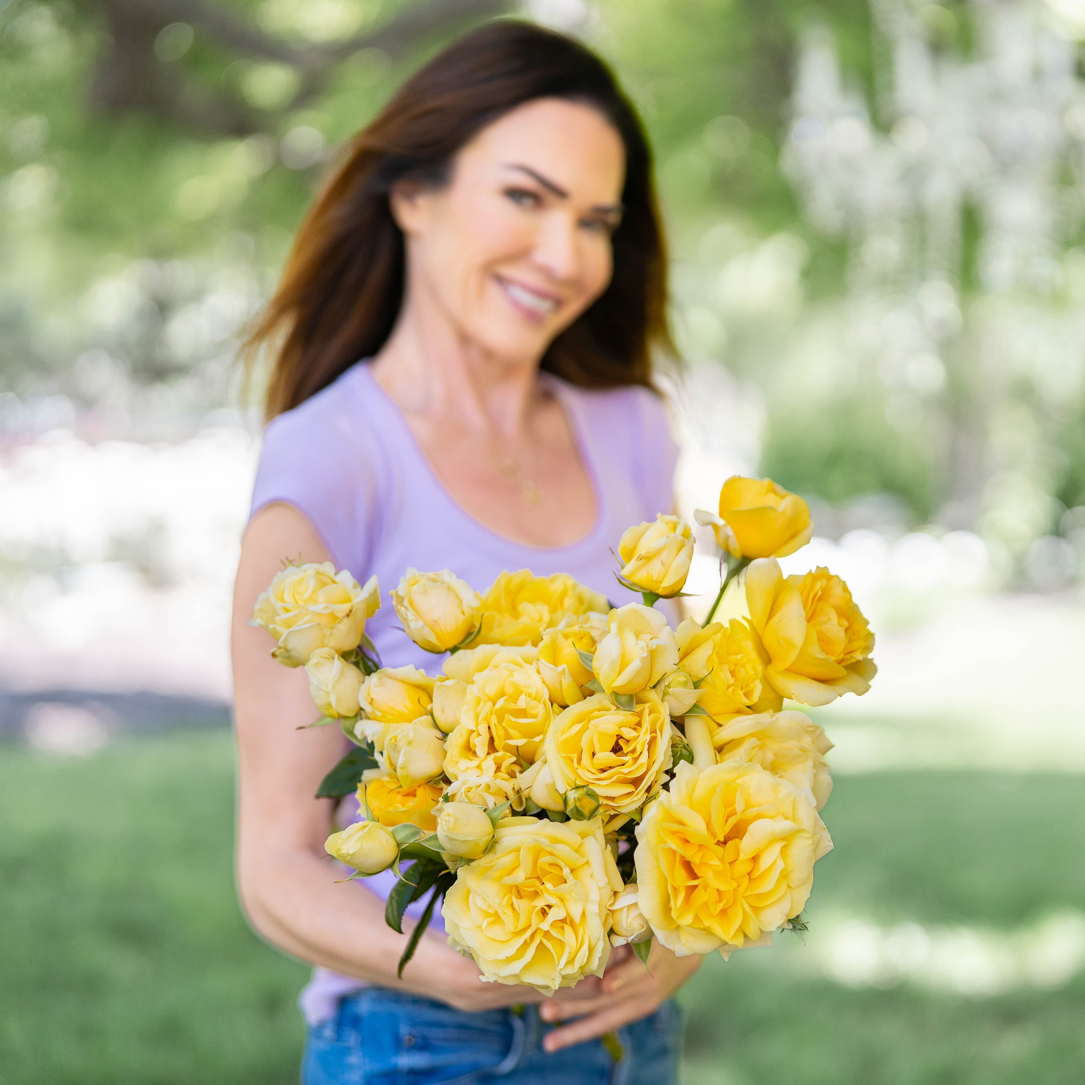 Michelangelo™ Potted Rose Bush