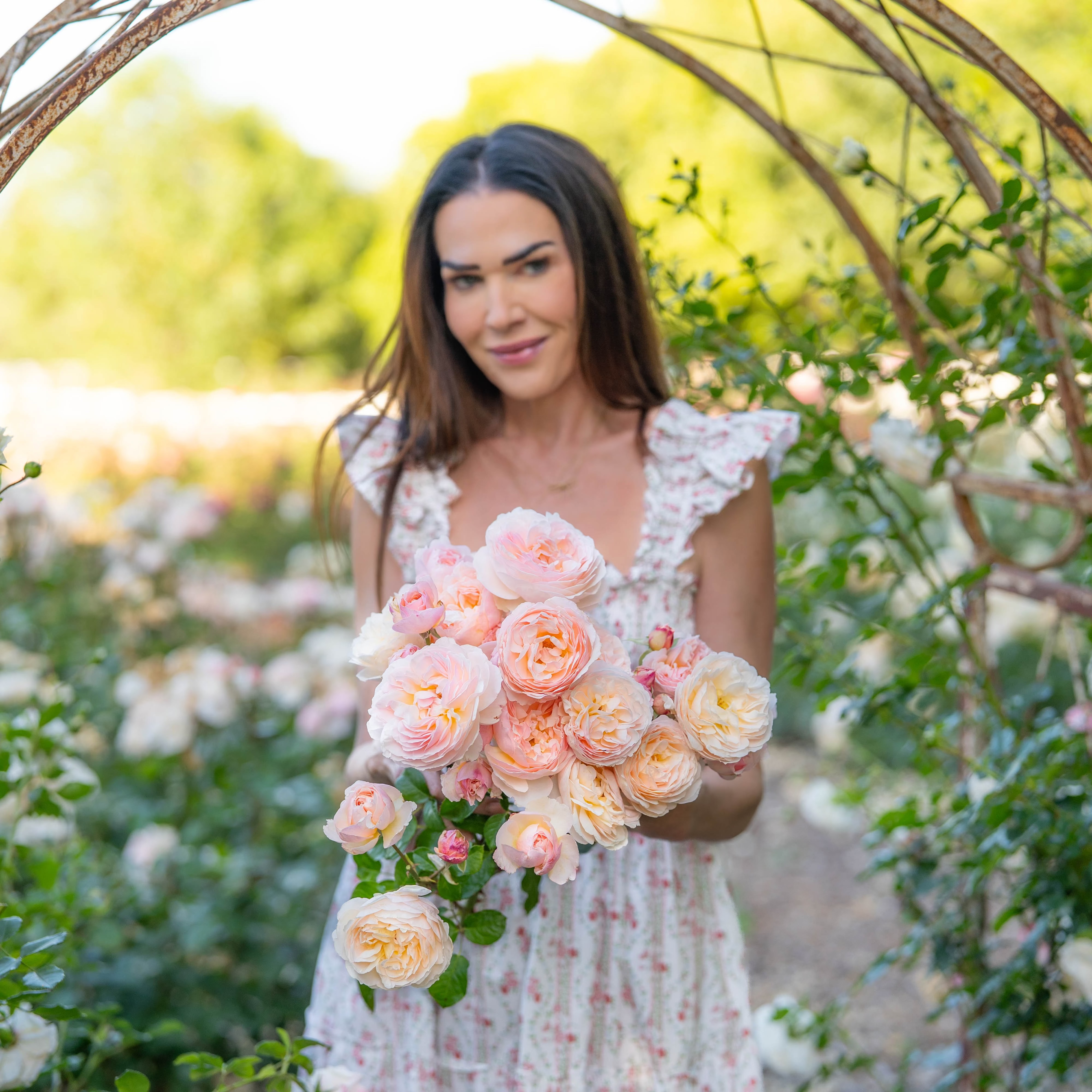 Moonlight in Paris™ Bare Root Rose Bush