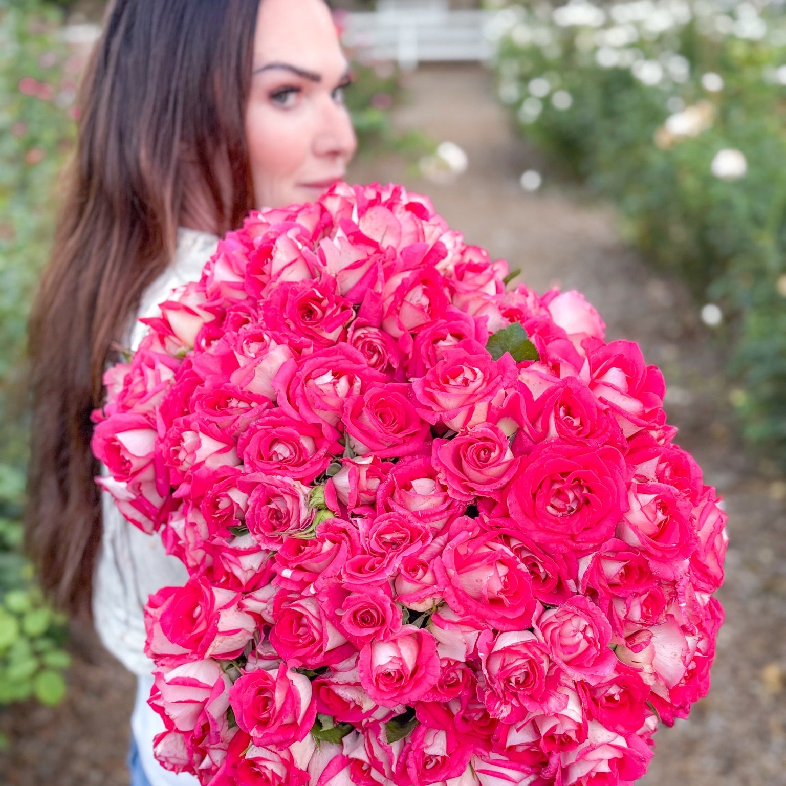 Picture Perfect™ Potted Rose Bush