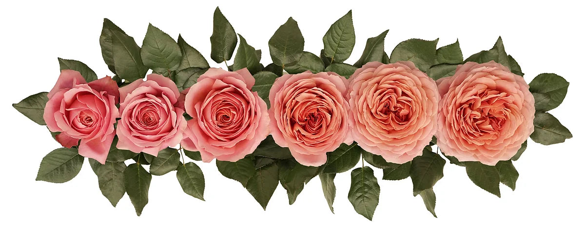 Romantic Antike® Special Bouquet